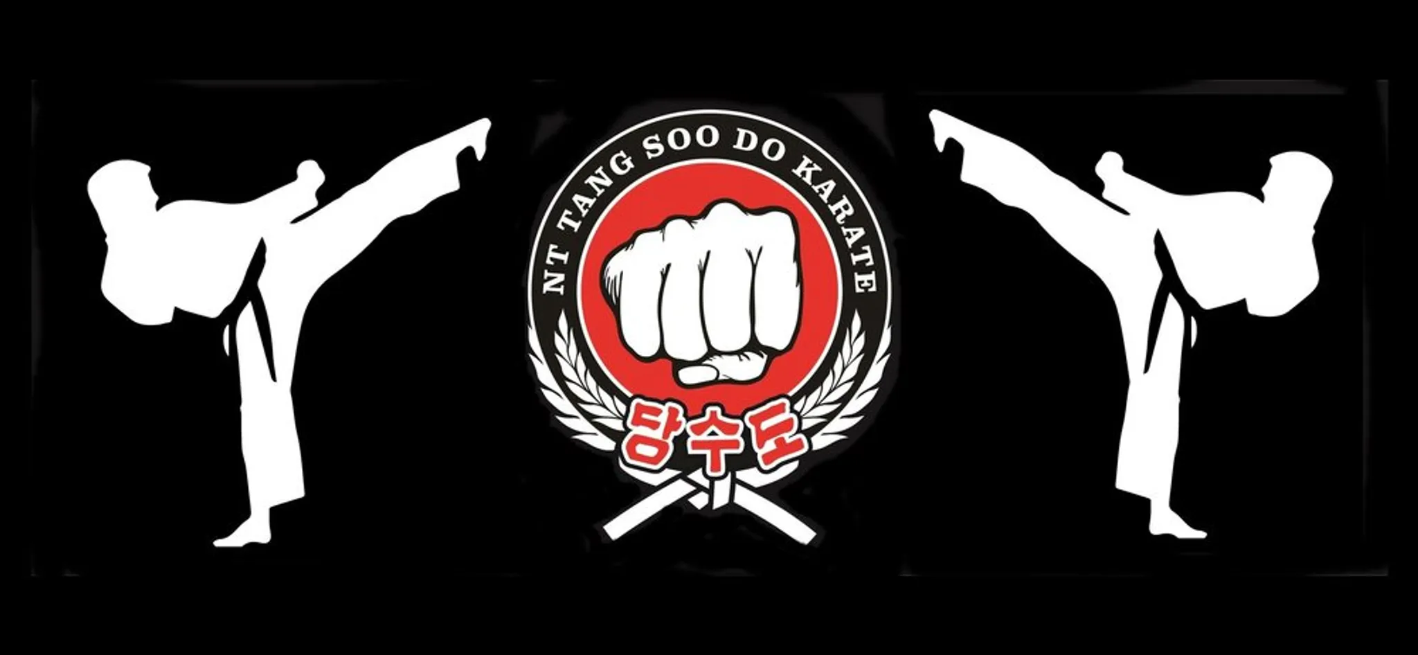 N.T Tang Soo Do Karate Academy