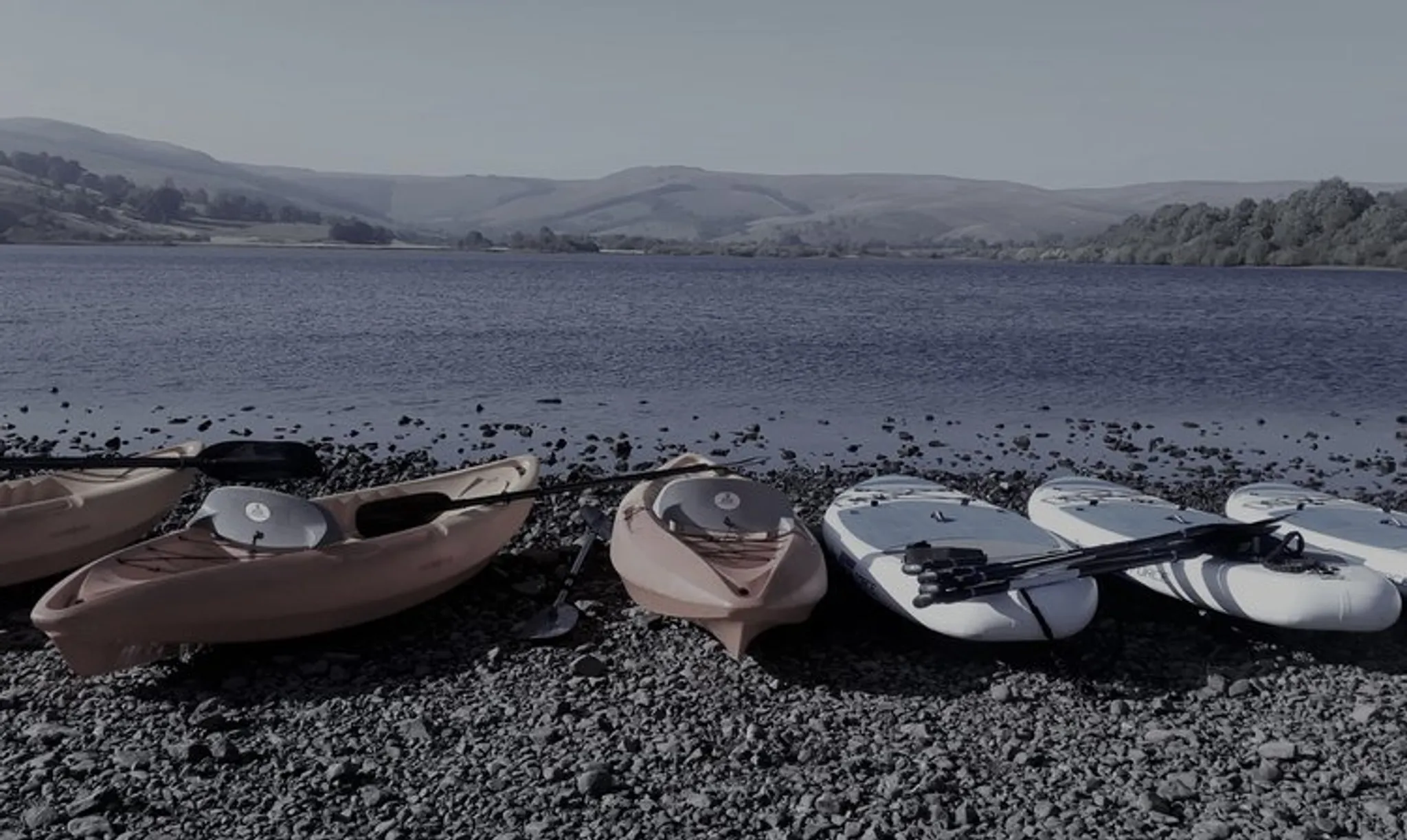 SUP Expedition, Foraging & Forest Bathing