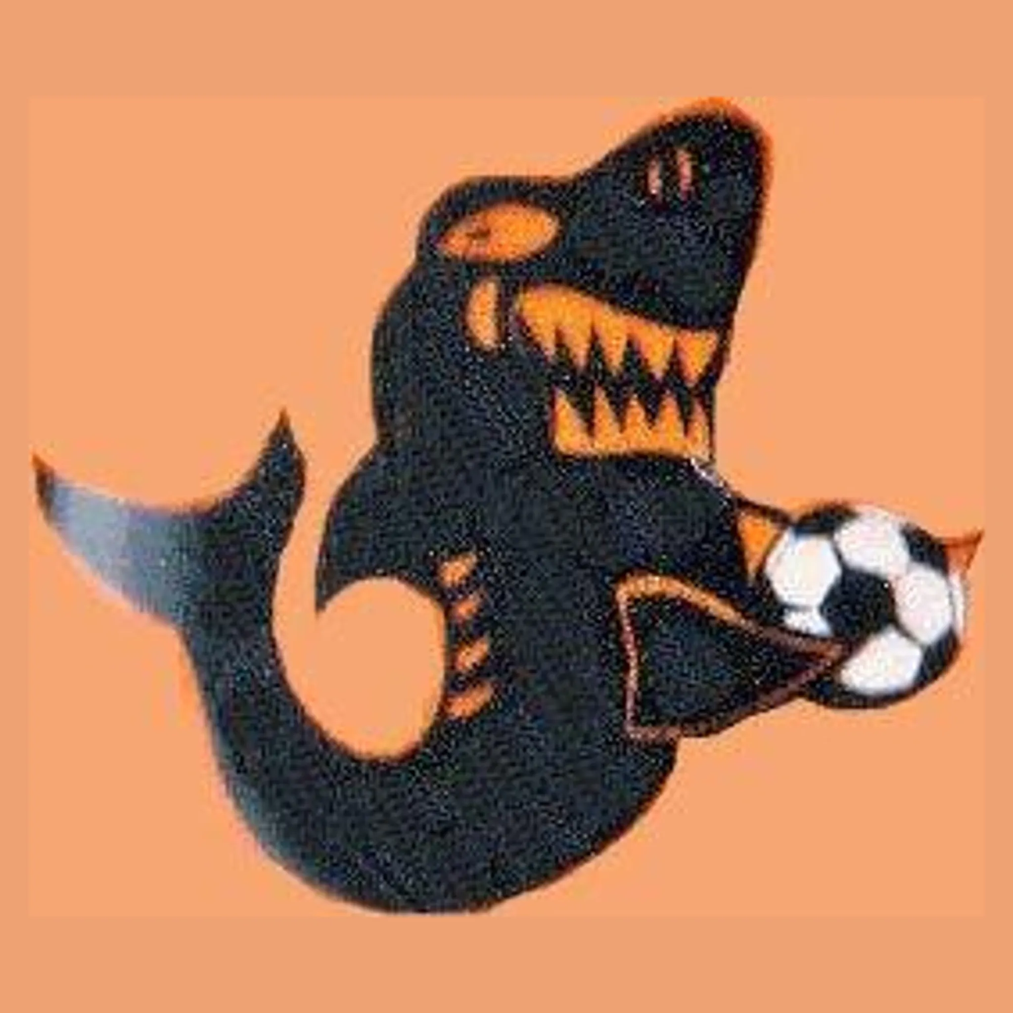 Nichols Point Soccer Club