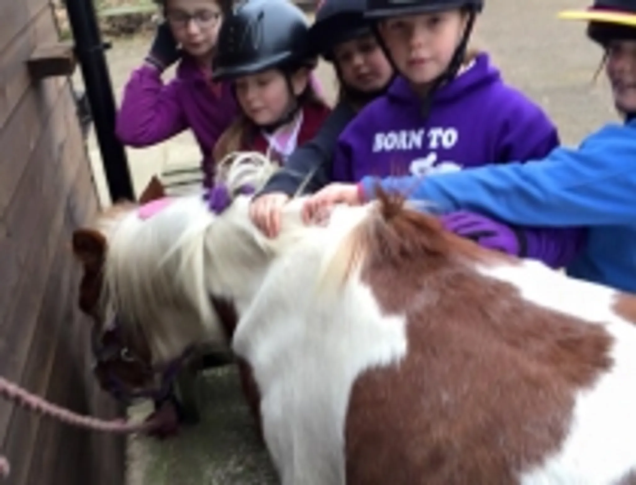 Northbrook Equestrian Centre