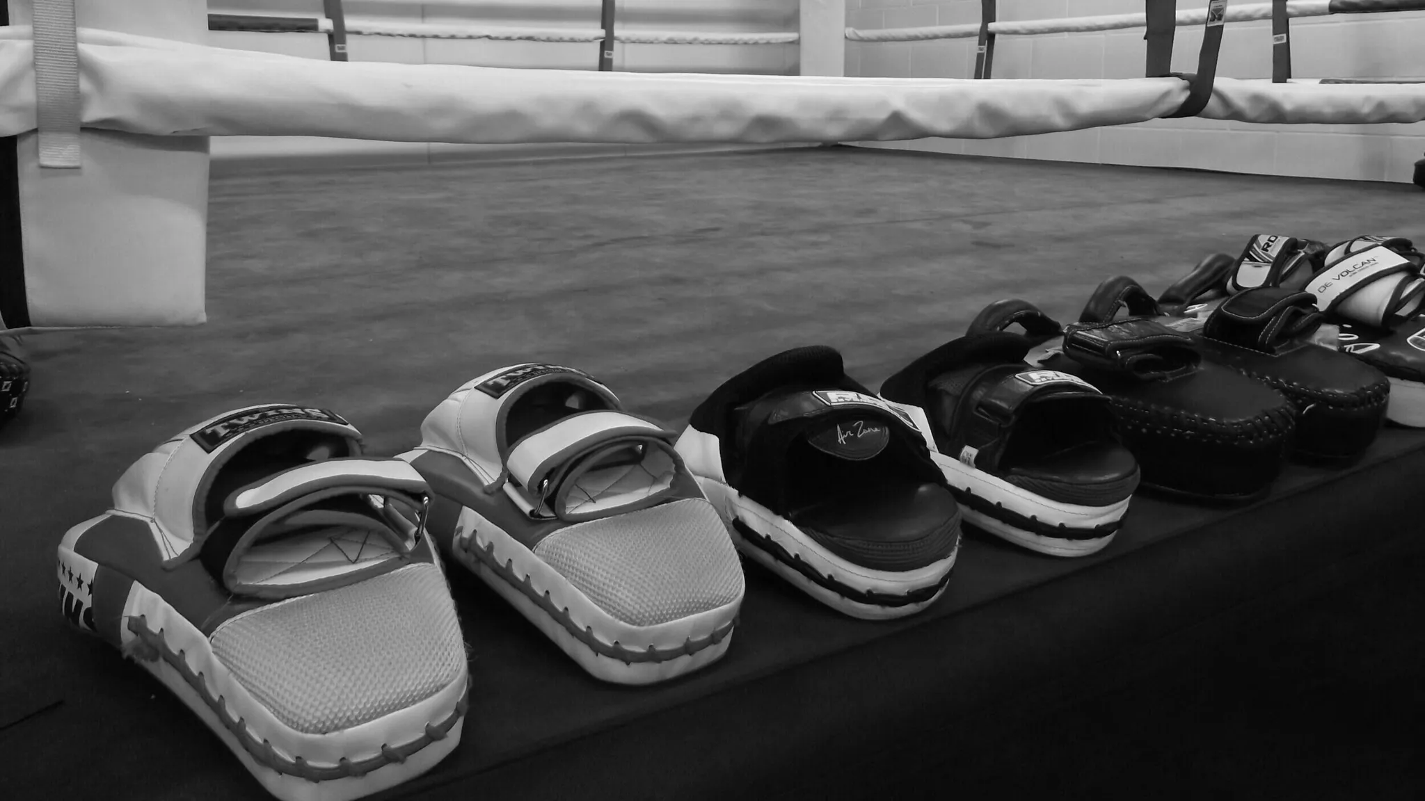 The Art of the 8 Limbs