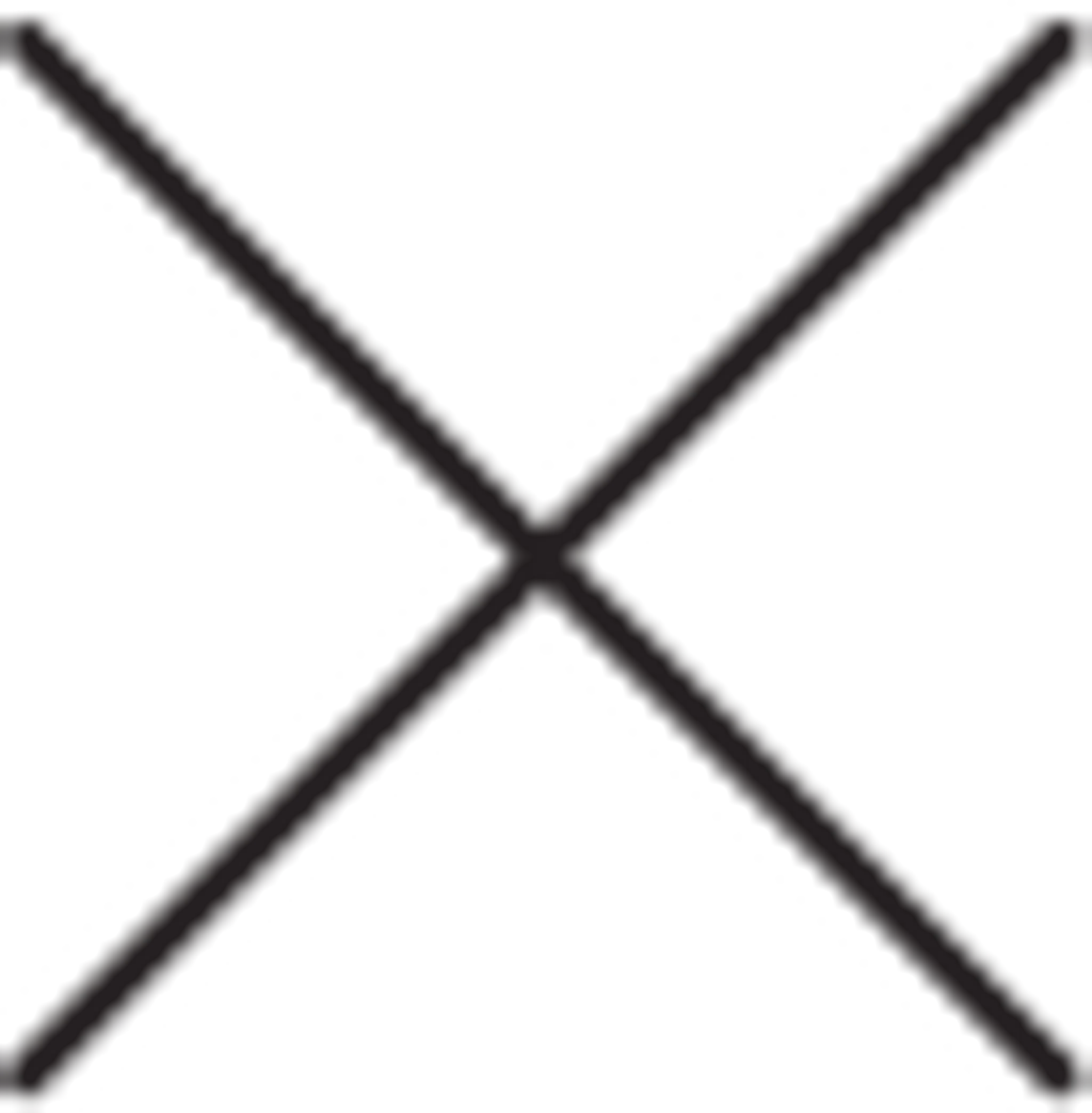 The Woodpegger by the beach