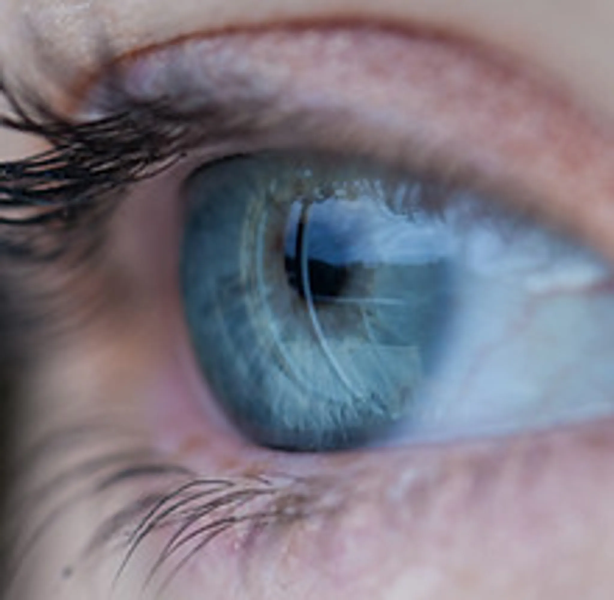 Dance Air Basin D'arcachon