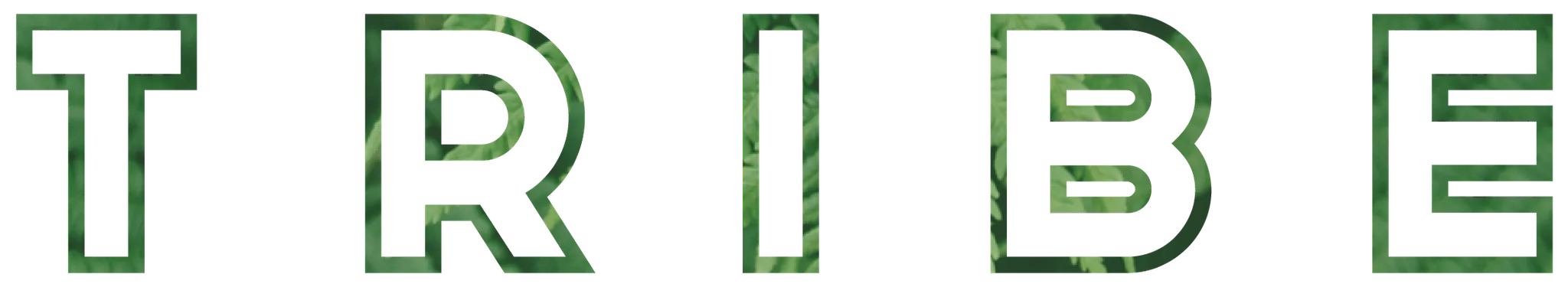 TRIBE FITNESS - Fat Loss Personal Trainers Richmond