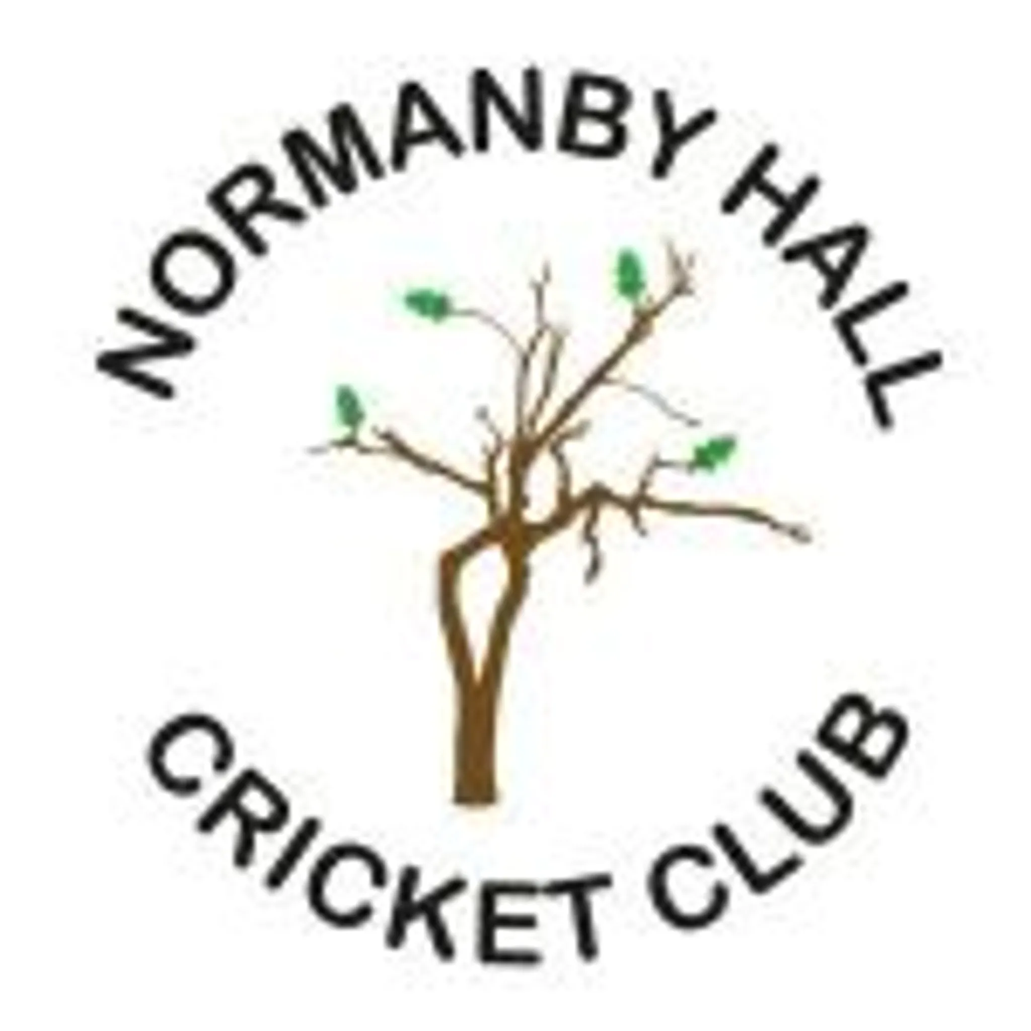 Normanby Hall Cricket Club