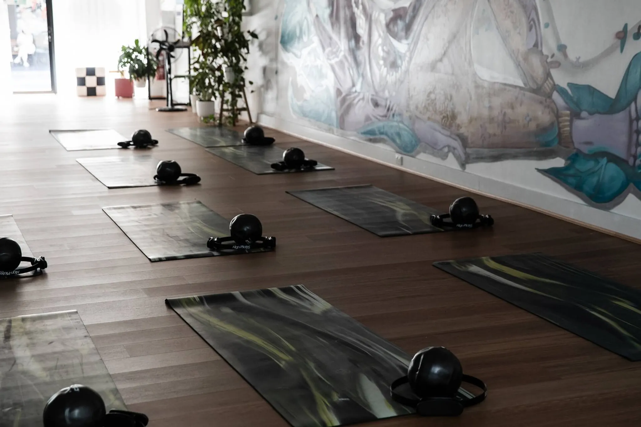 TRUNK Reformer Pilates Camperdown