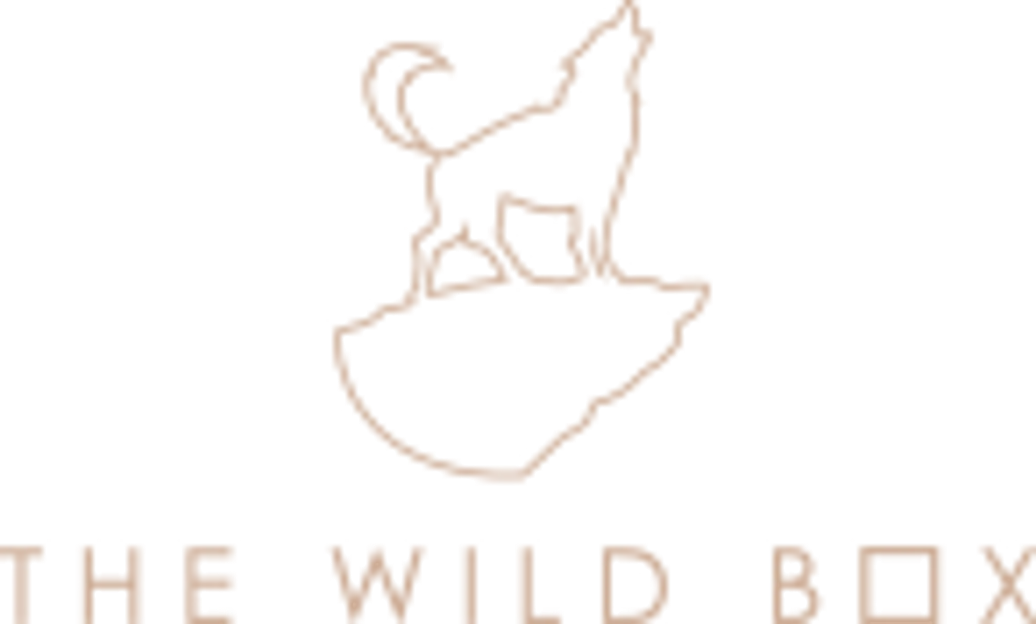 The Wild Box