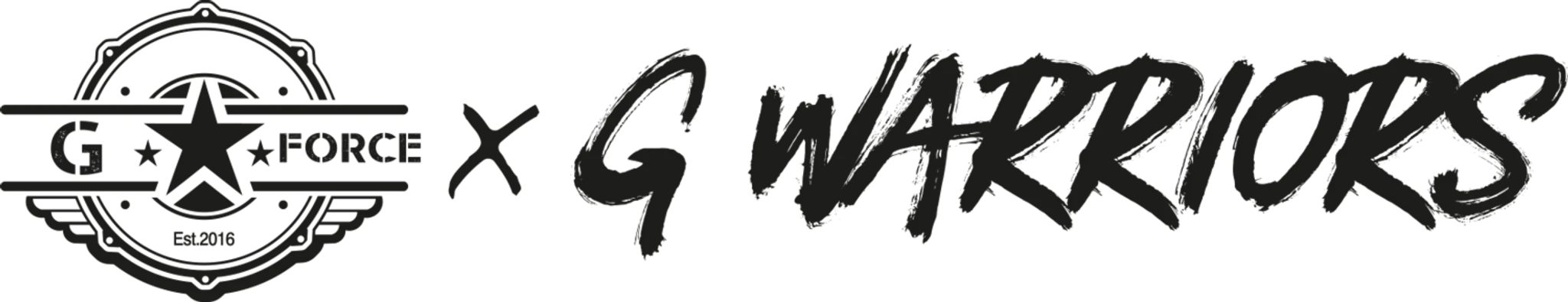 G Force Fitness & Wellbeing Centre