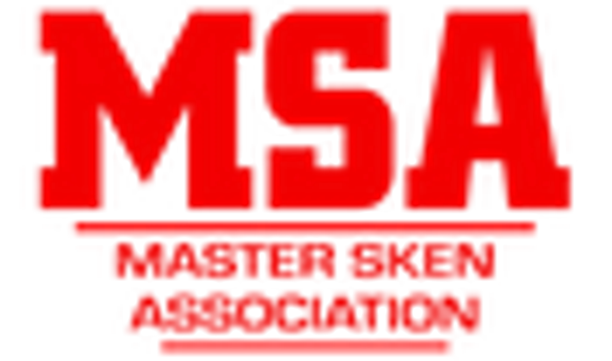 MSA Master Sken Academy