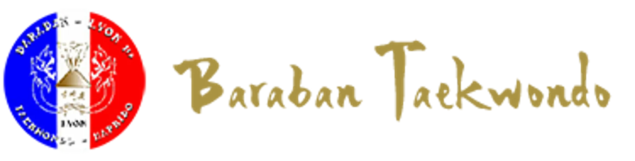 Baraban Taekwondo Lyon 3