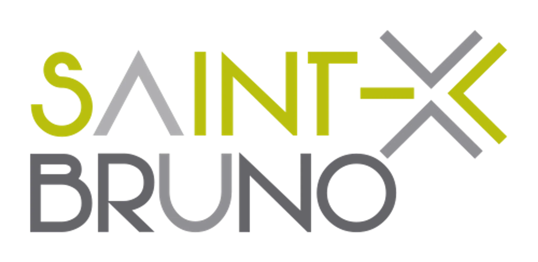 Skatepark de Saint-Bruno