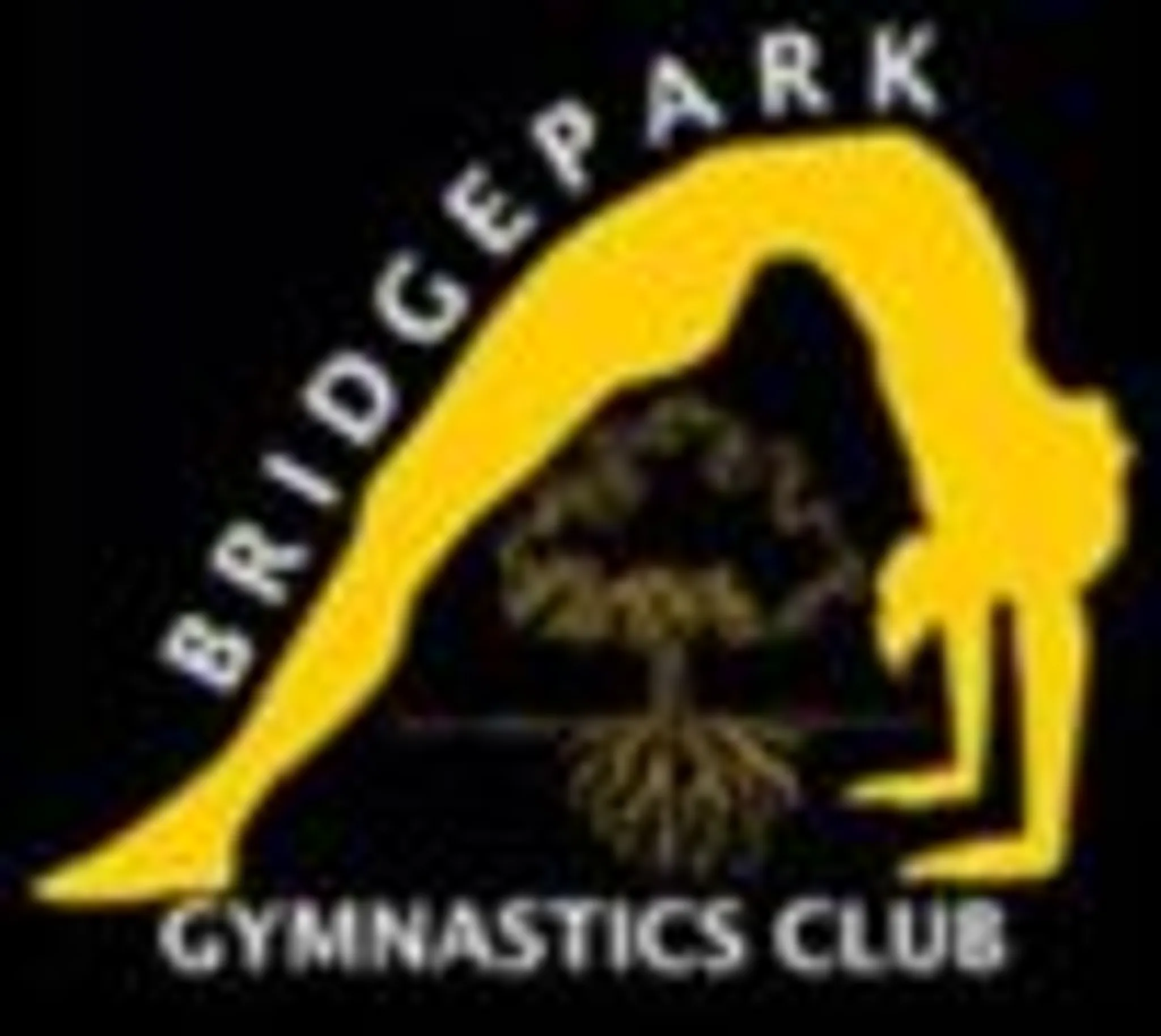 Bridge Park Gymnastics Club