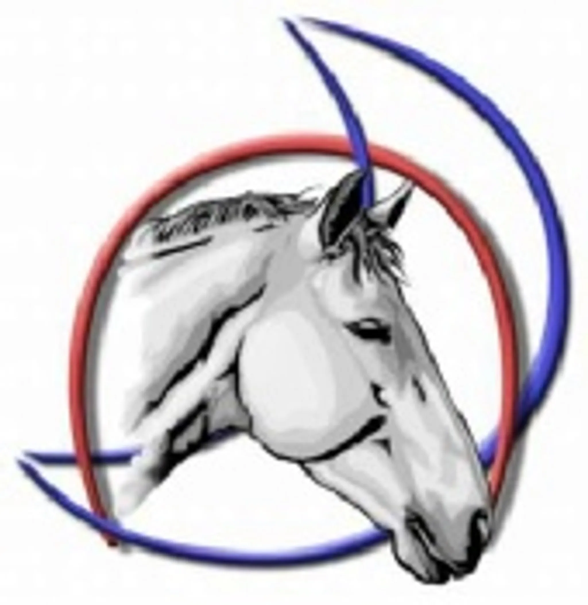 FERME EQUESTRE LES FARFADETS LAURET