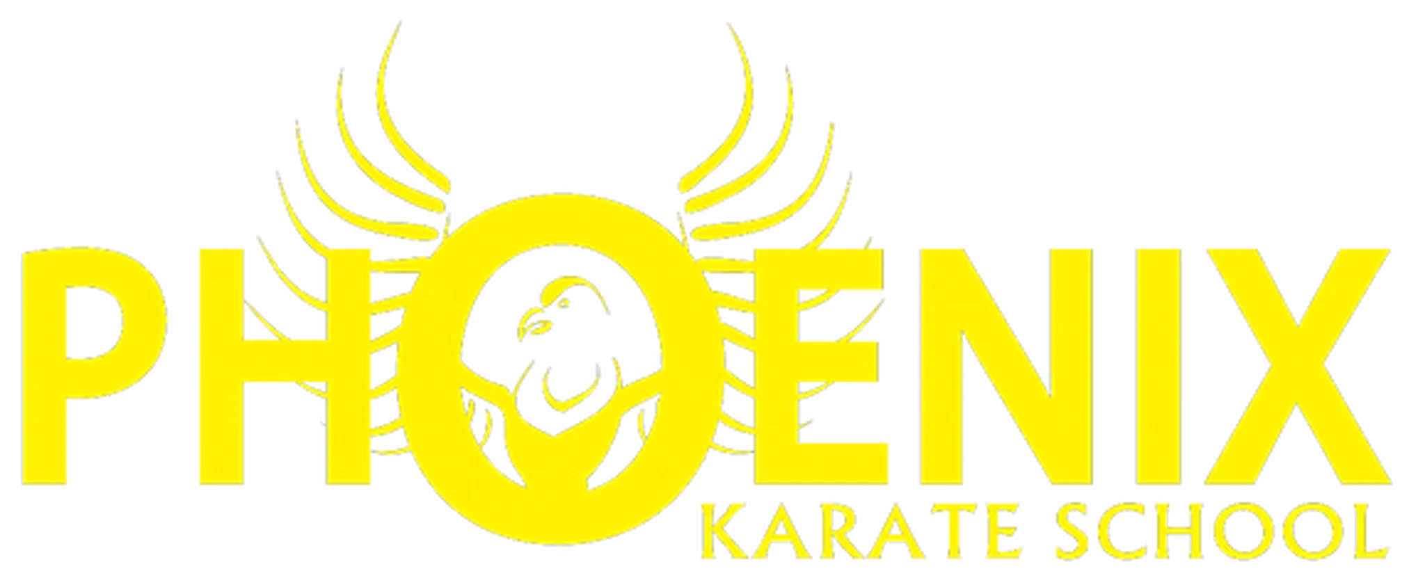 Phoenix Karate Schools