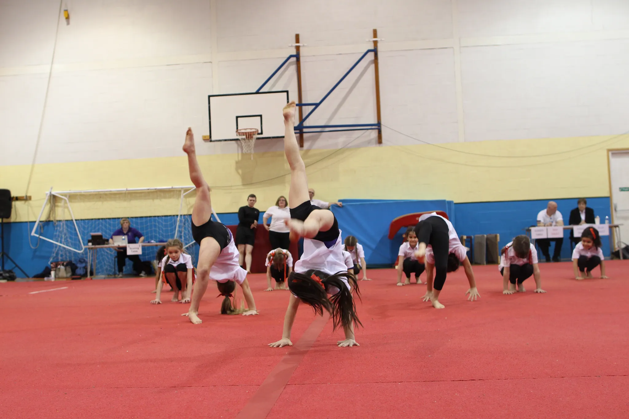 Recreational Gymnastics