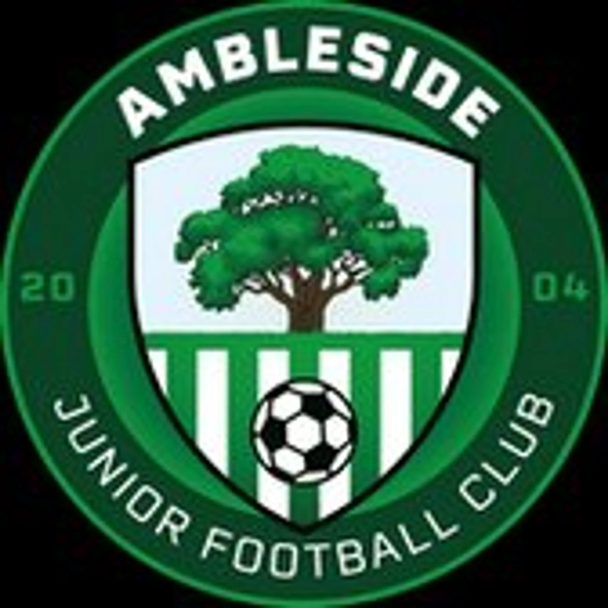 Ambleside Junior Football Club