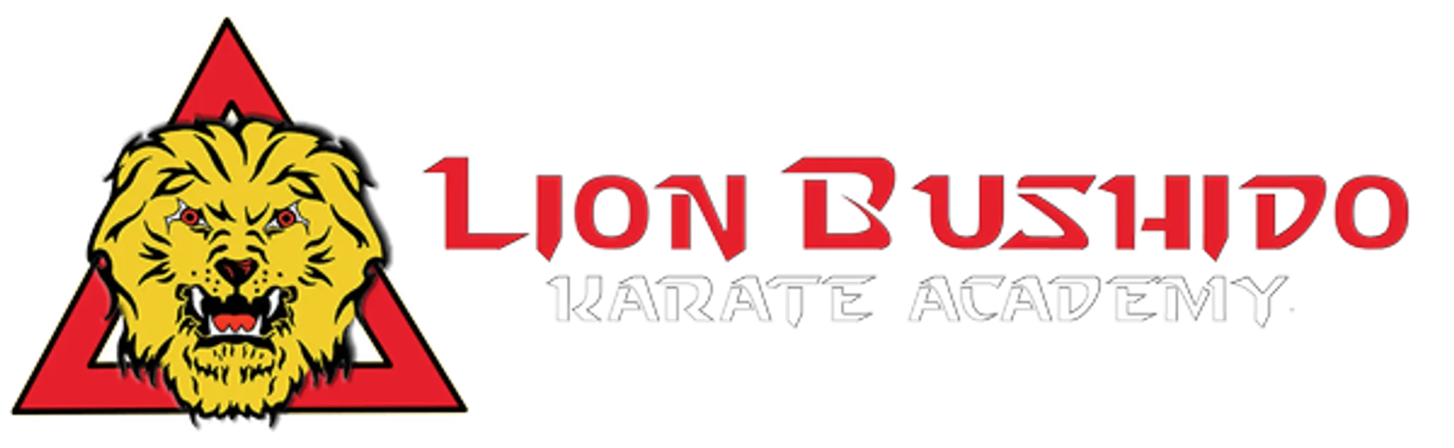 Lion Bushido Karate Academy Patterson Lakes