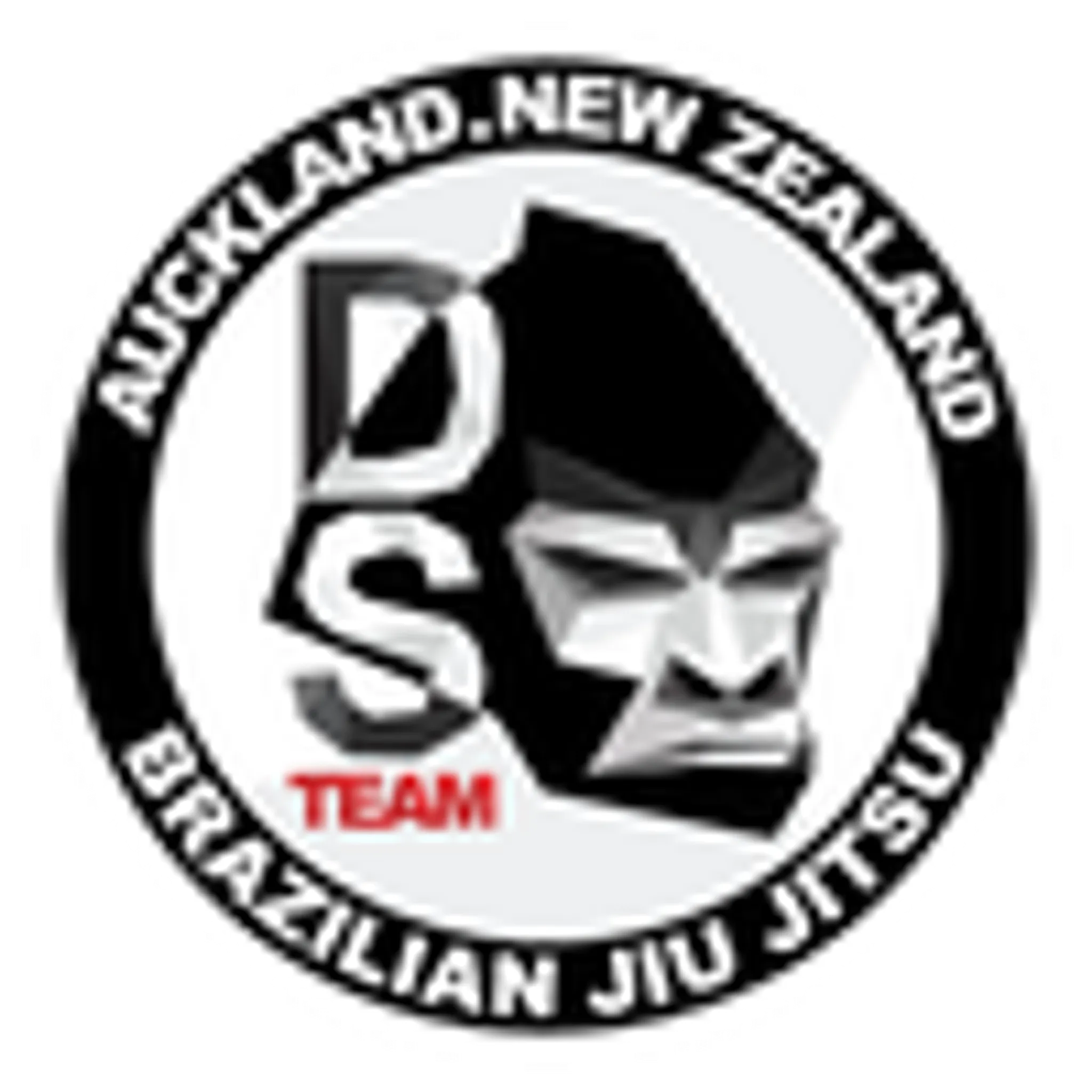 DS TEAM JIUJITSU NEW ZEALAND