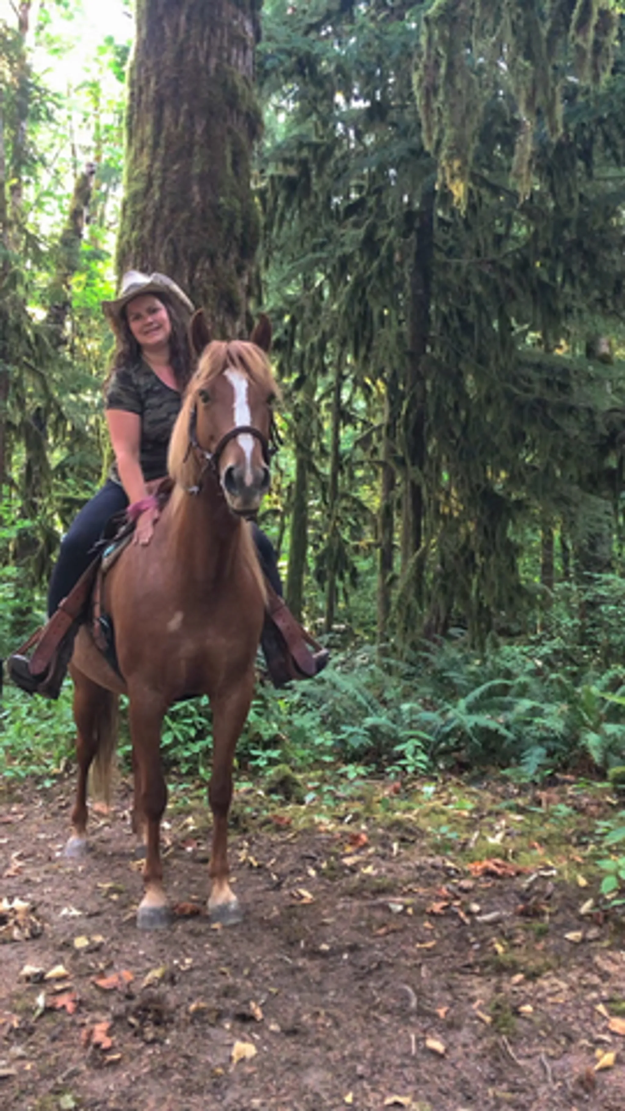 Giddy Up Equine Experiences