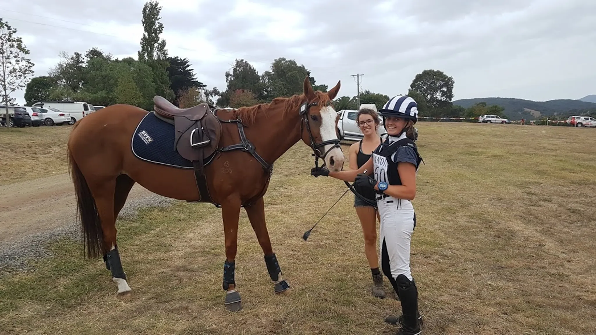 Bendigo Dressage and Show Jumping Day