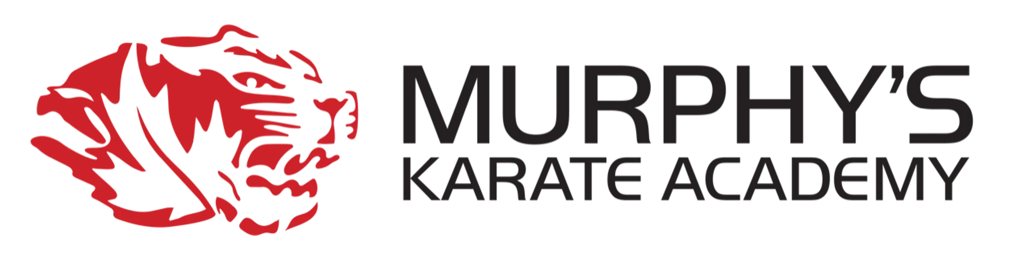 Murphy's Karate Academy