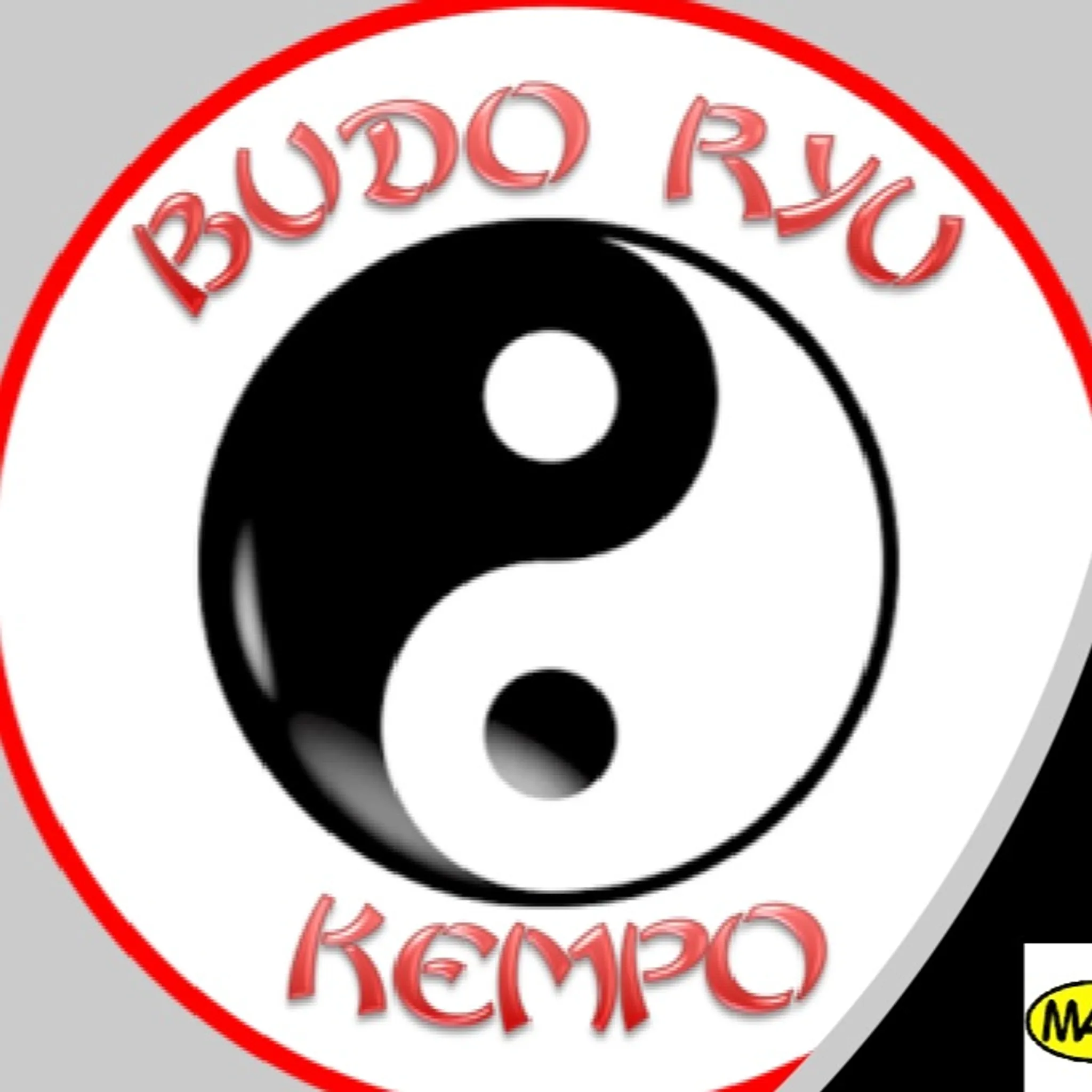 Budo Ryu Karate Academy St Marys