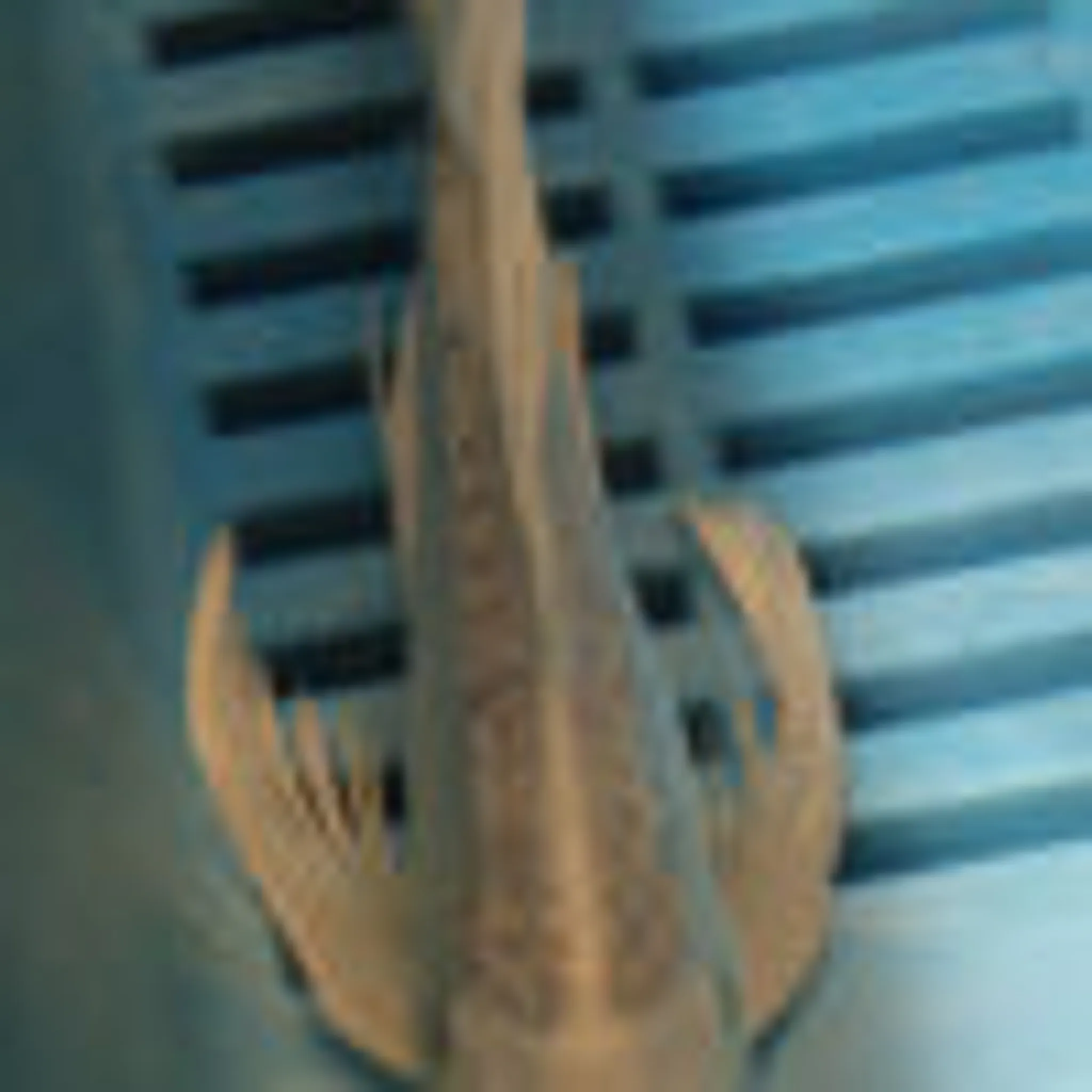 Aquatics to Your Door