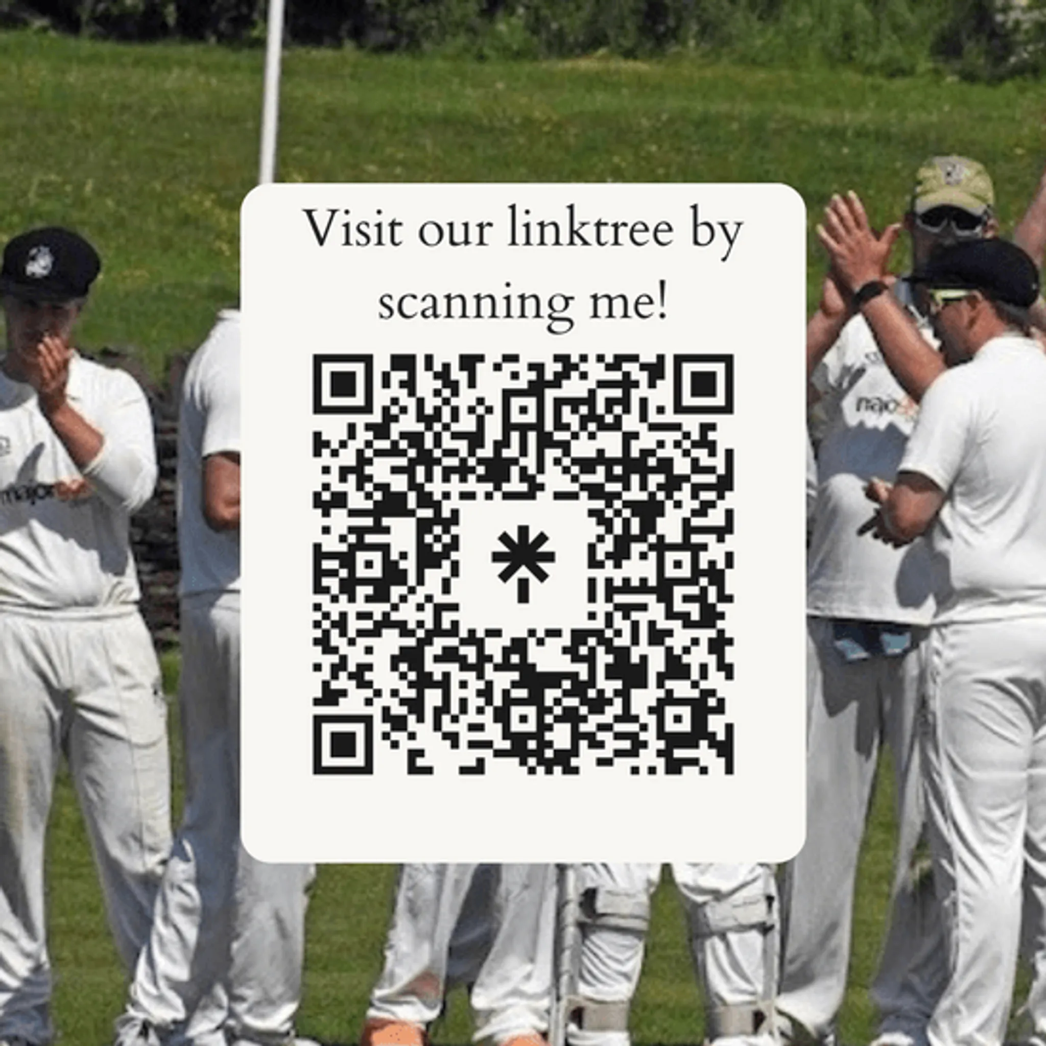 Shelley Cricket Club