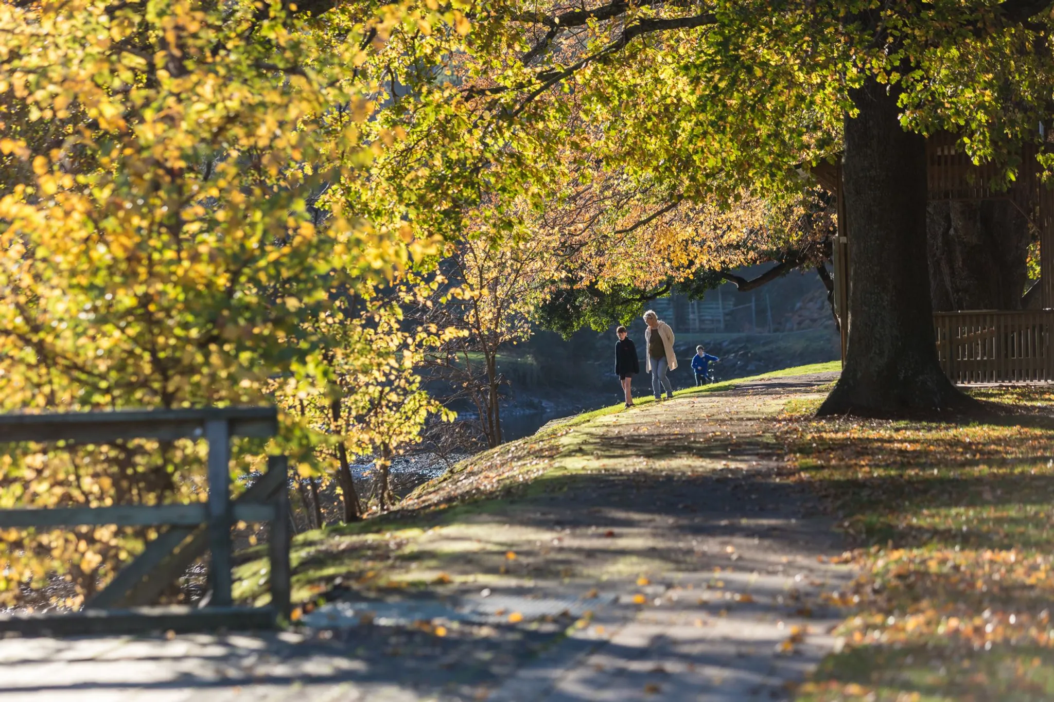 Breast Screen Bus at Banksia Centre