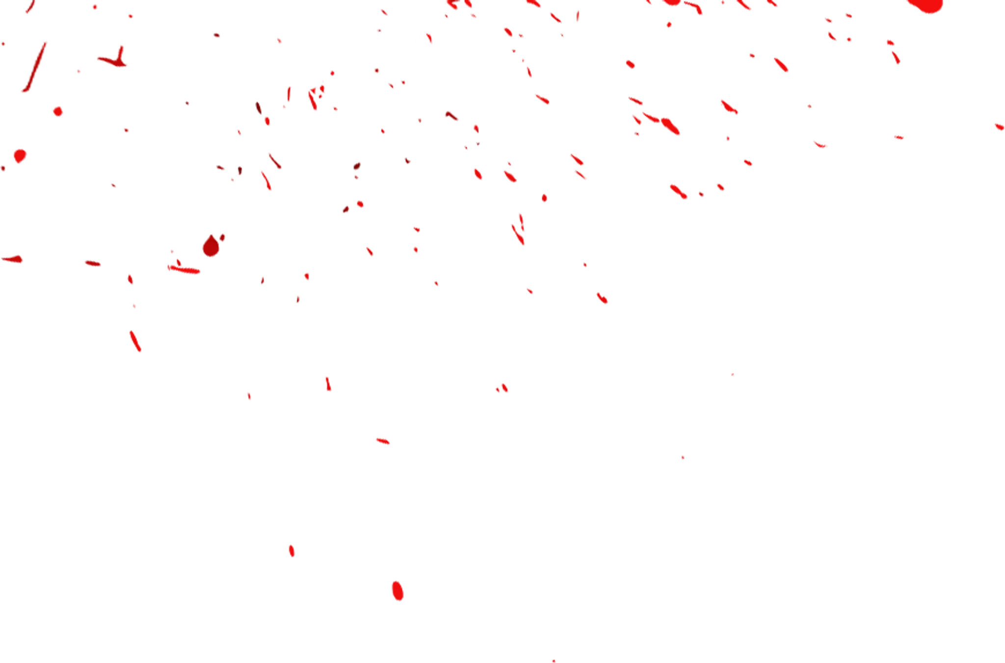 Training For Warriors Brisbane Eastside