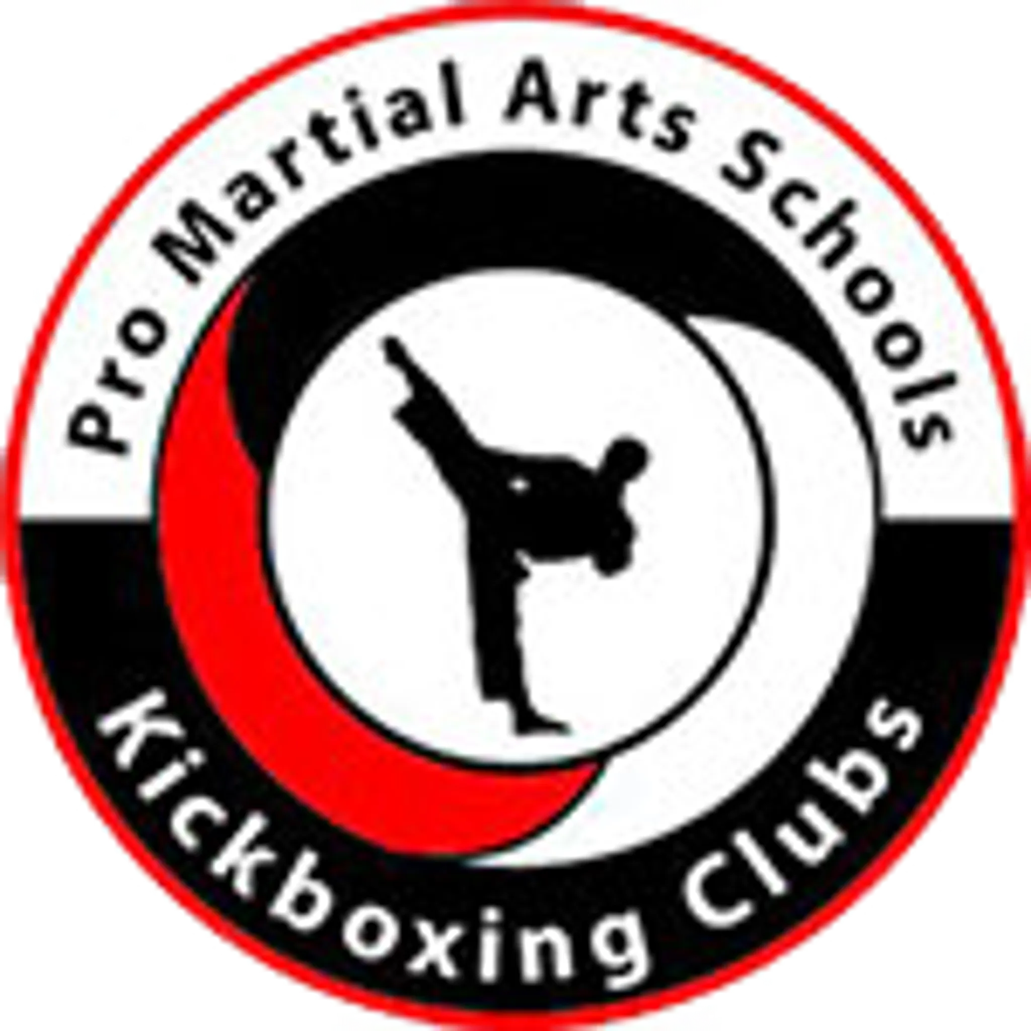 Professional Martial Arts Schools Somerset