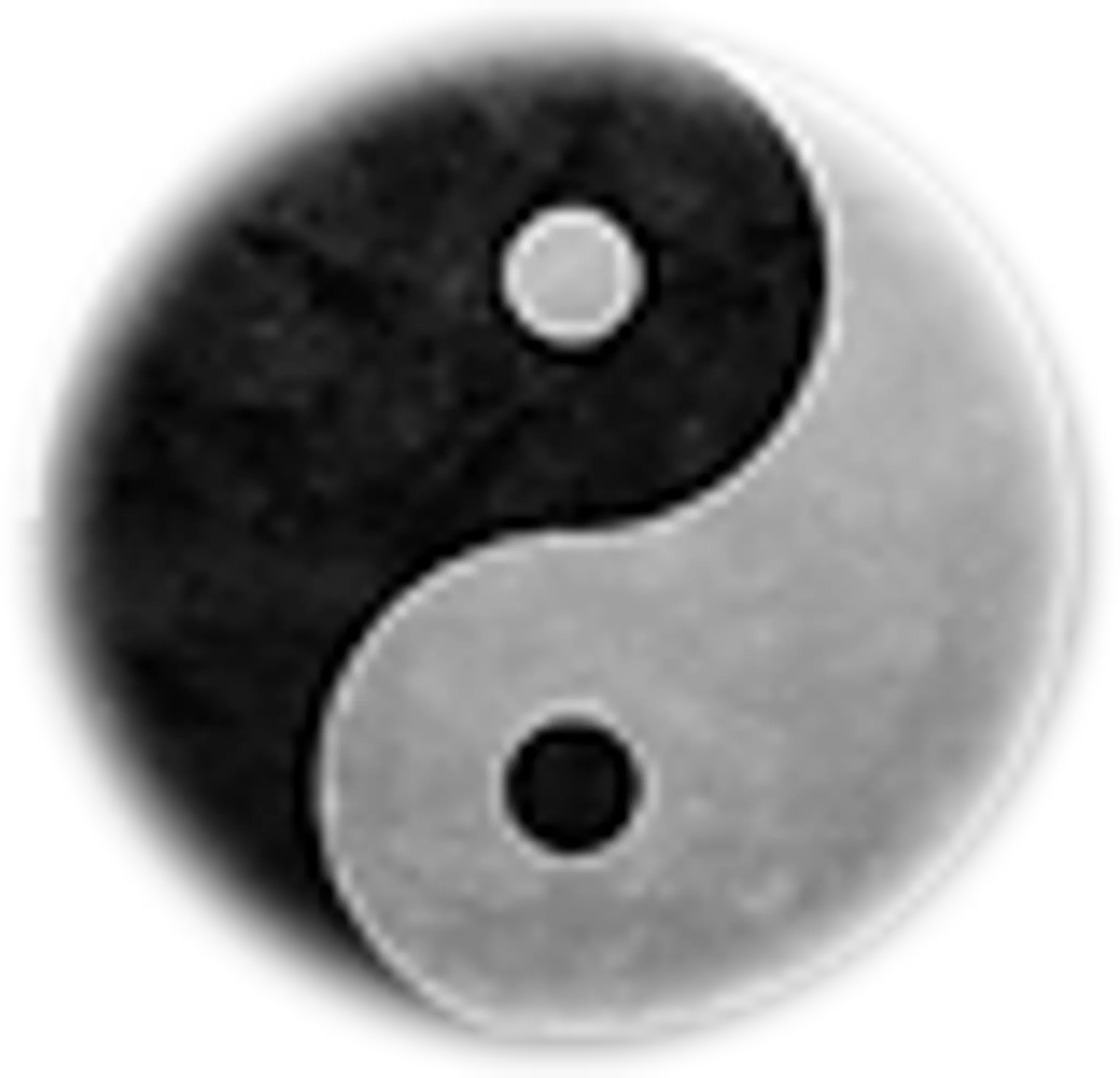 Chichester Tai Chi Golden Flower School