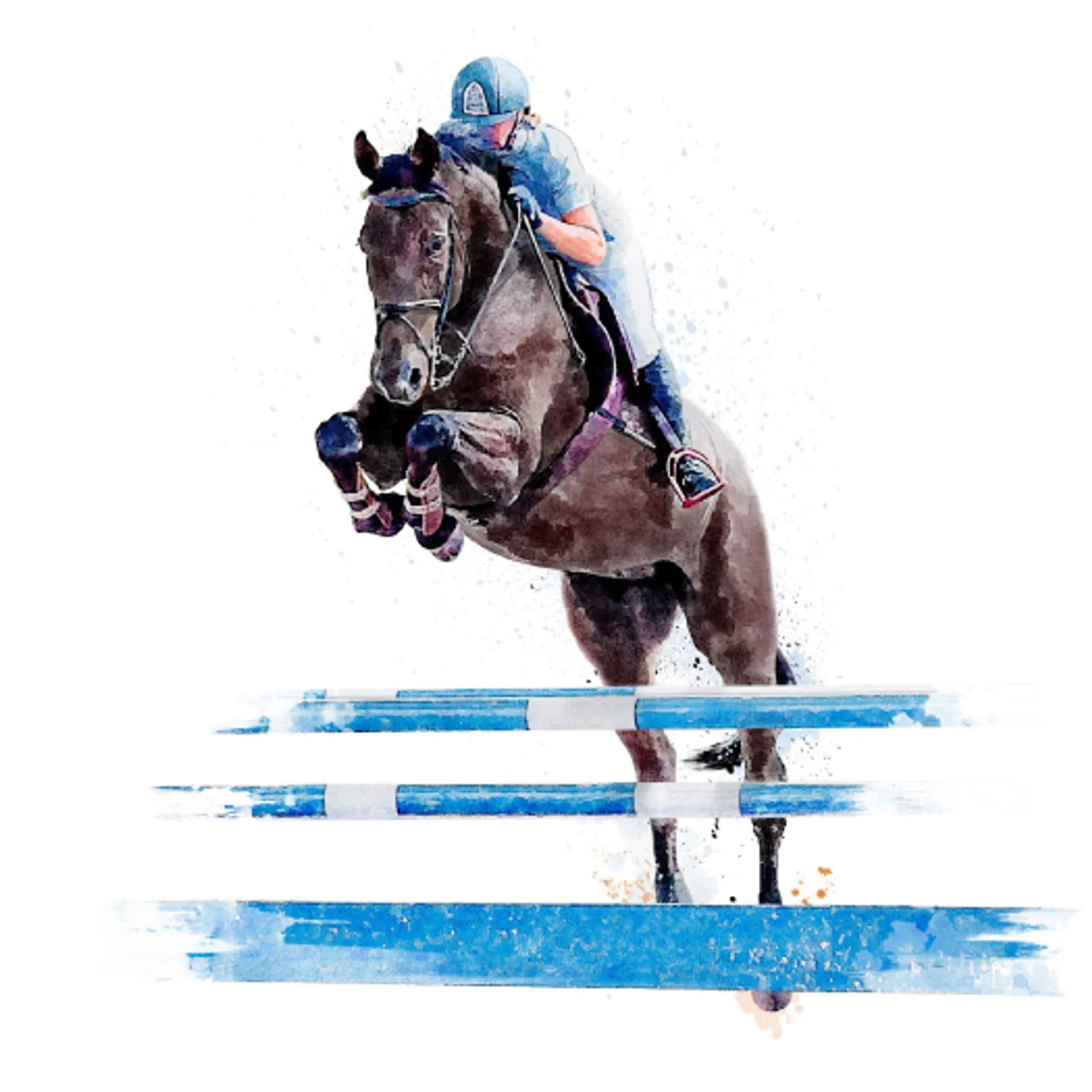 Equestrian Club Omessa