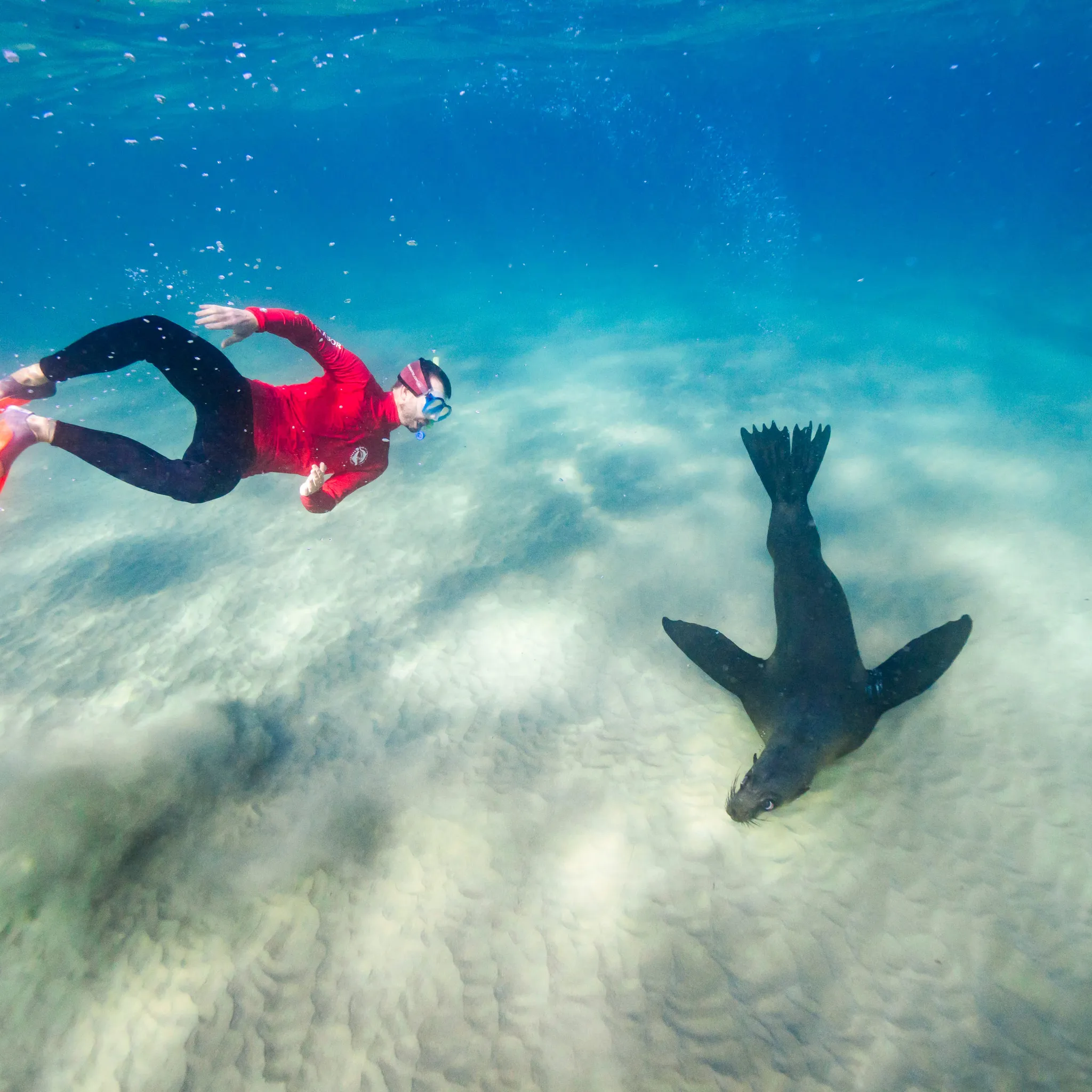 Introduction to Free Diving