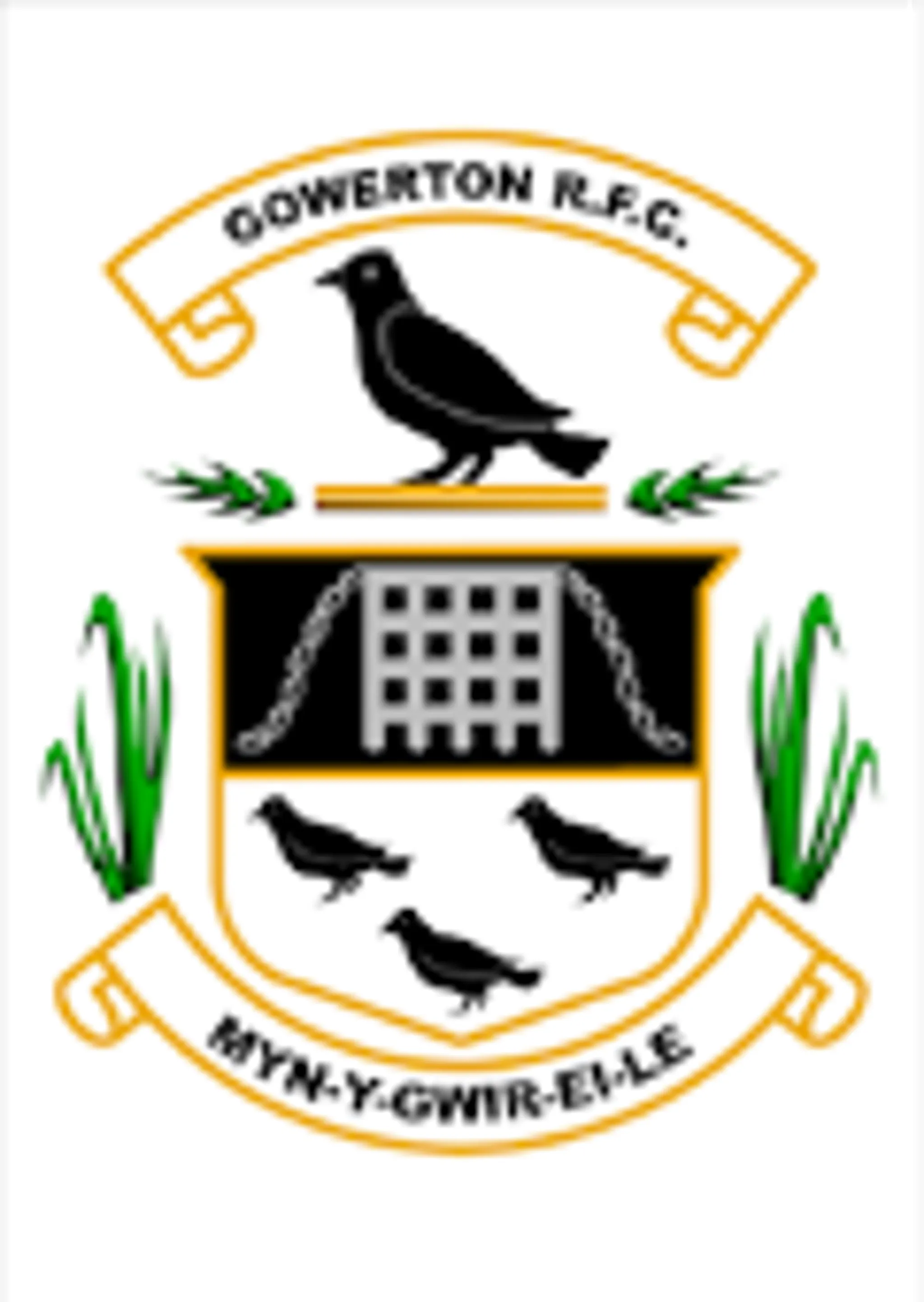 Gowerton Rugby Football Club