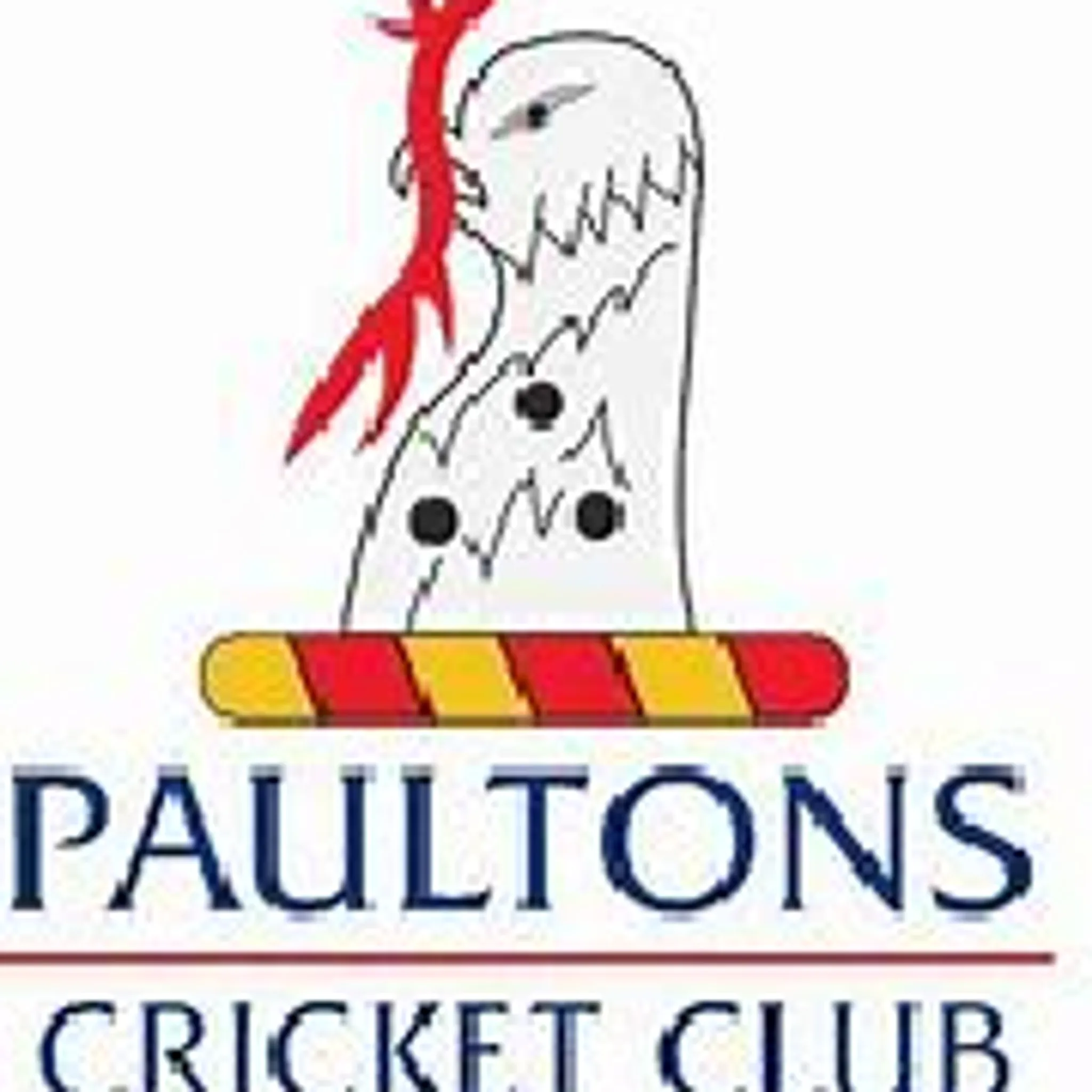 Paultons Cricket Club