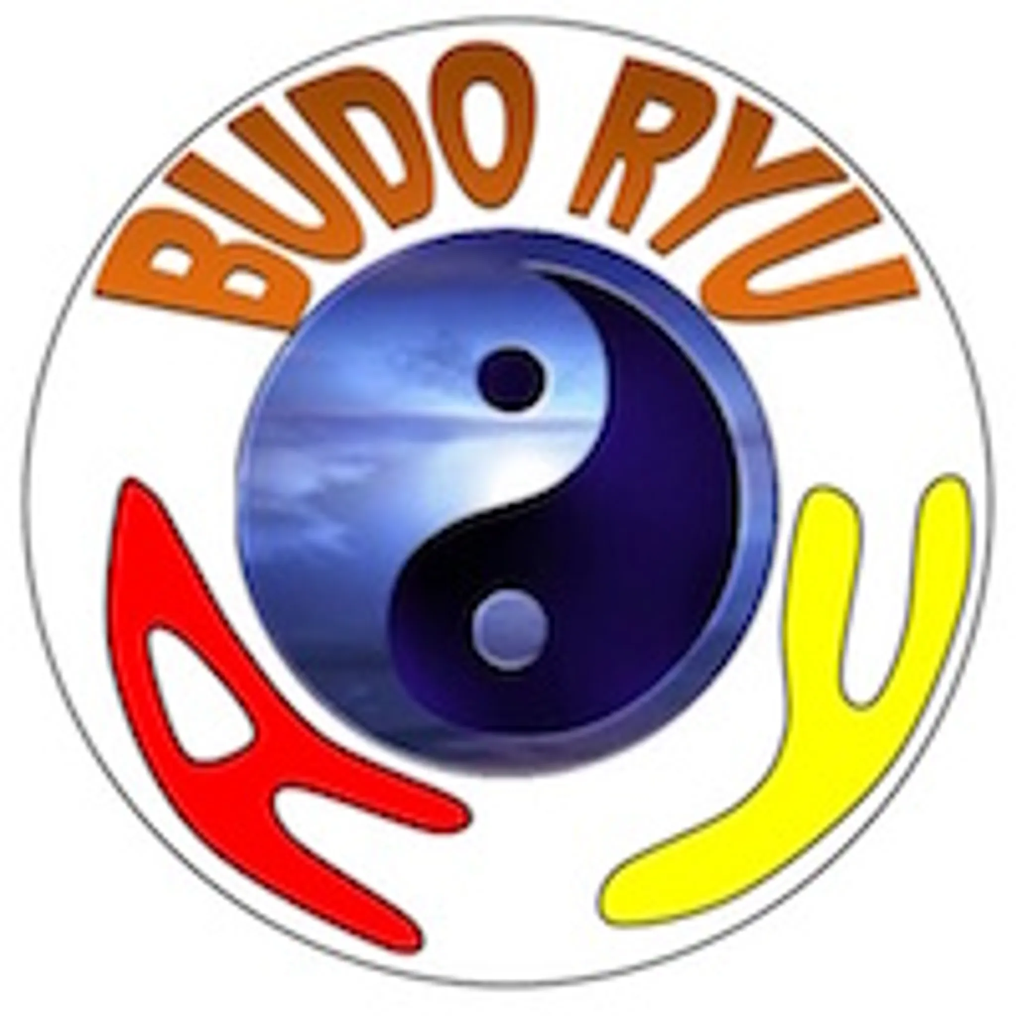 Budo Ryu Ay Dojo Ay Sur Moselle