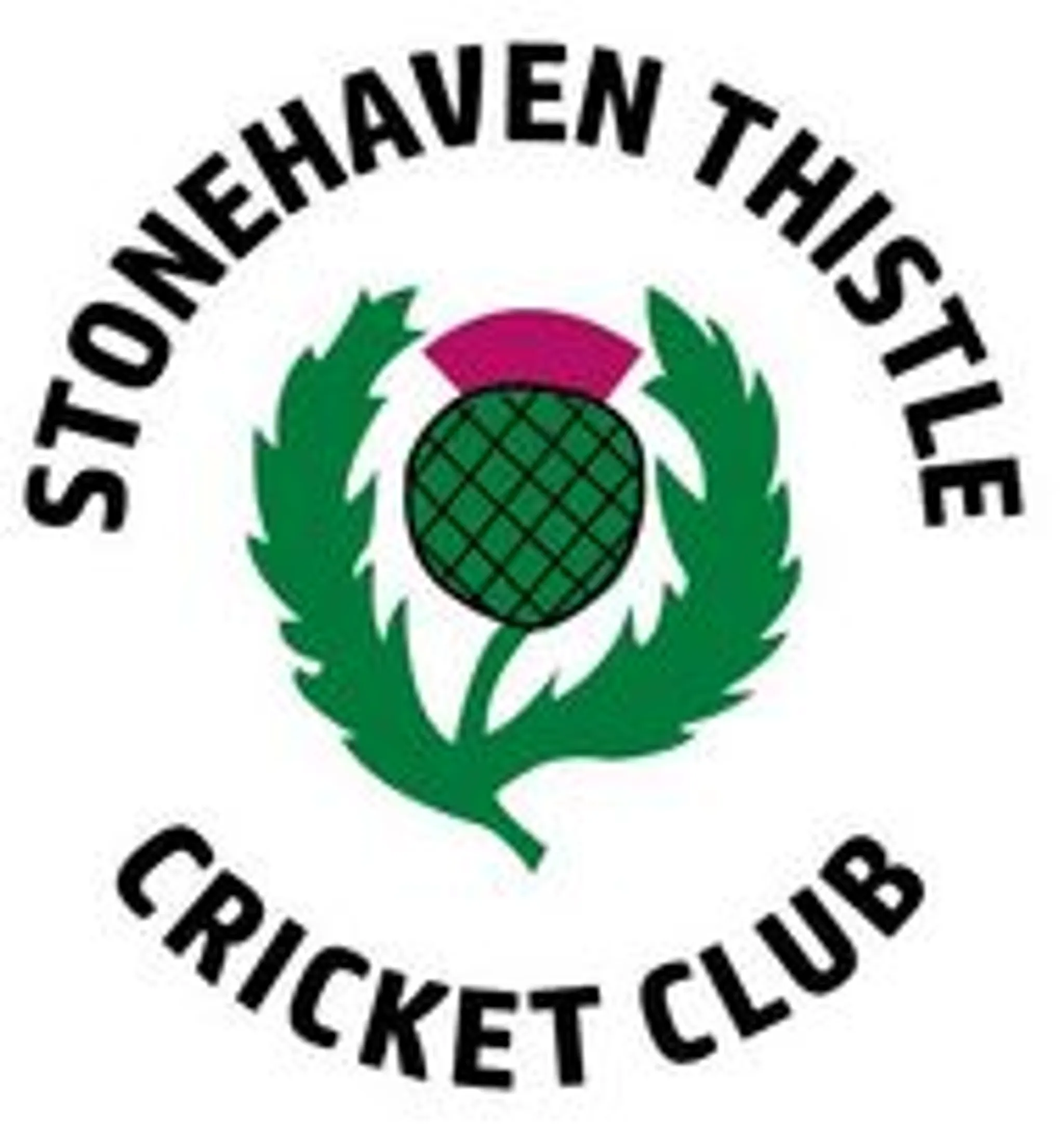 Stonehaven Thistle Cricket Club, Mineralwell Park