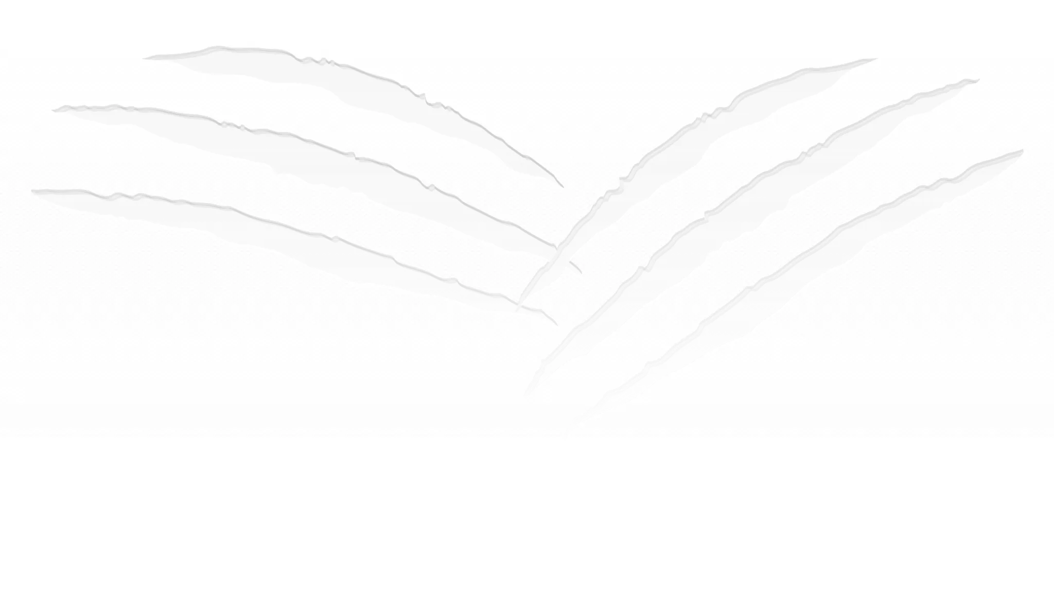 Tiger Hills Softball