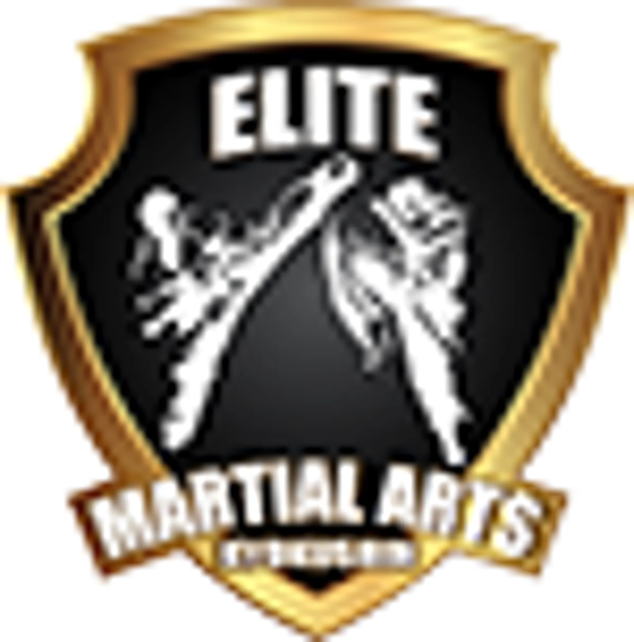 EMAR Putney Martial Arts Academy