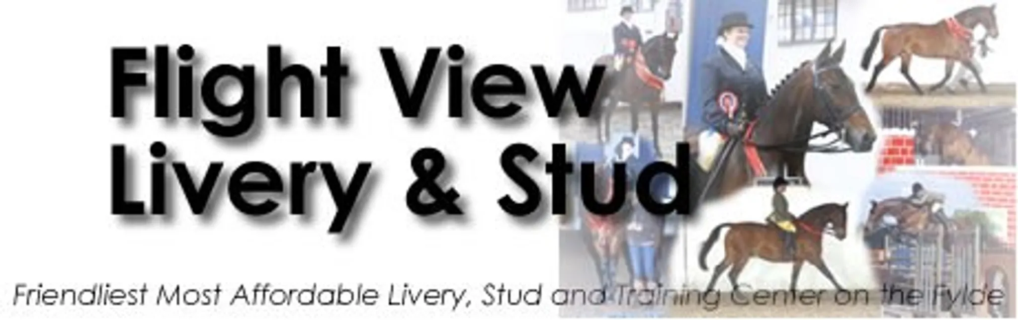Flight View Livery & Stud