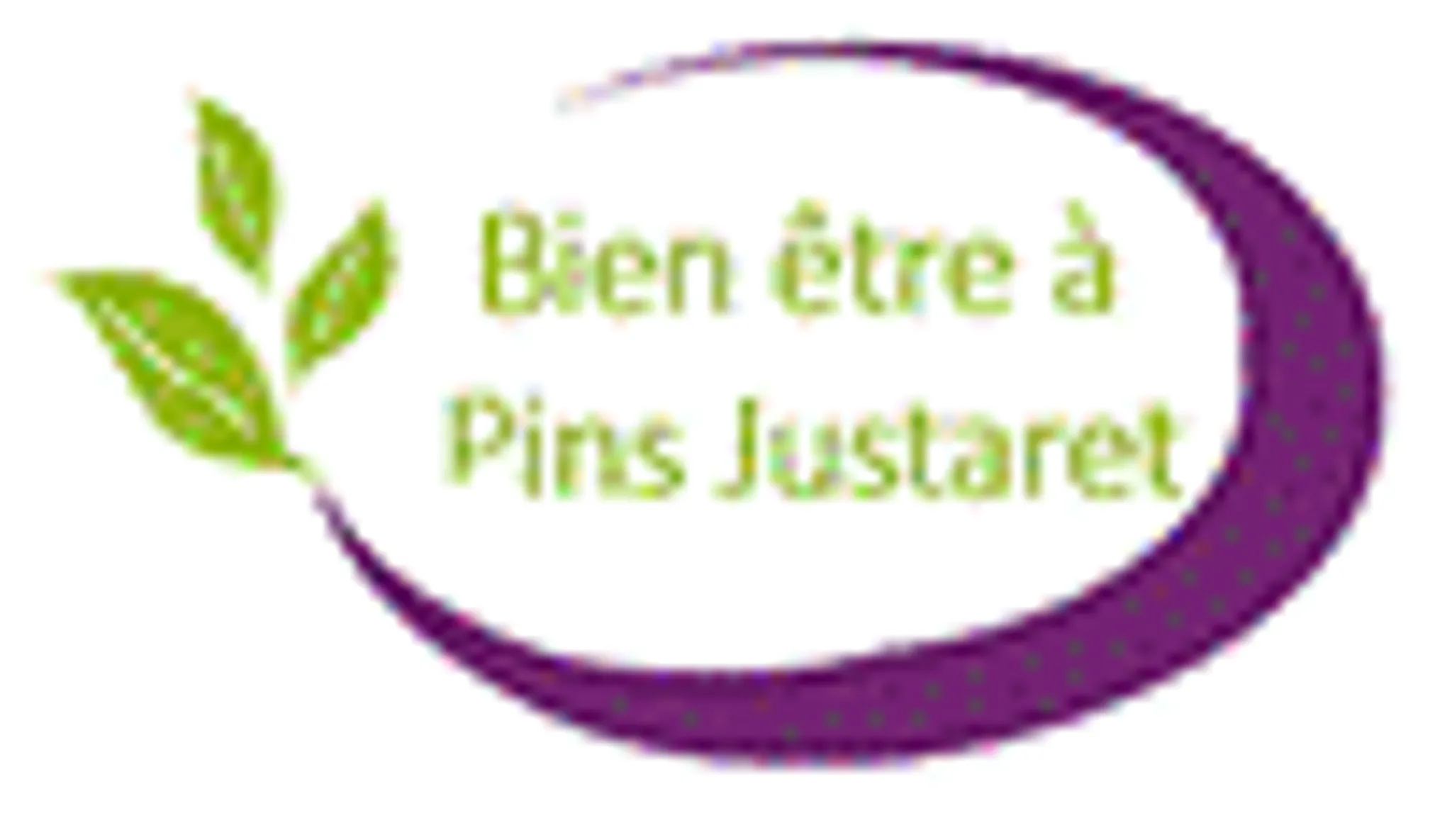 Dojo Pins-Justaret Villate