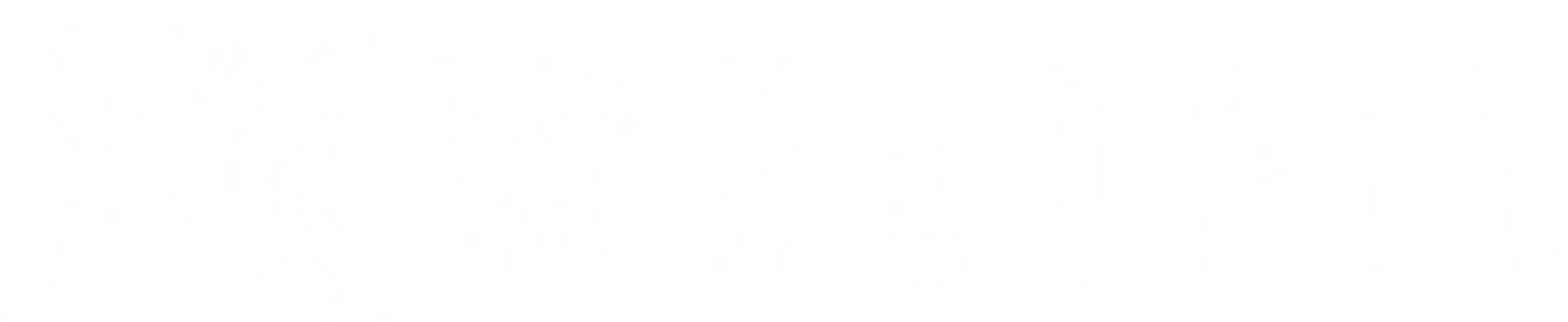 The WellFit Programme