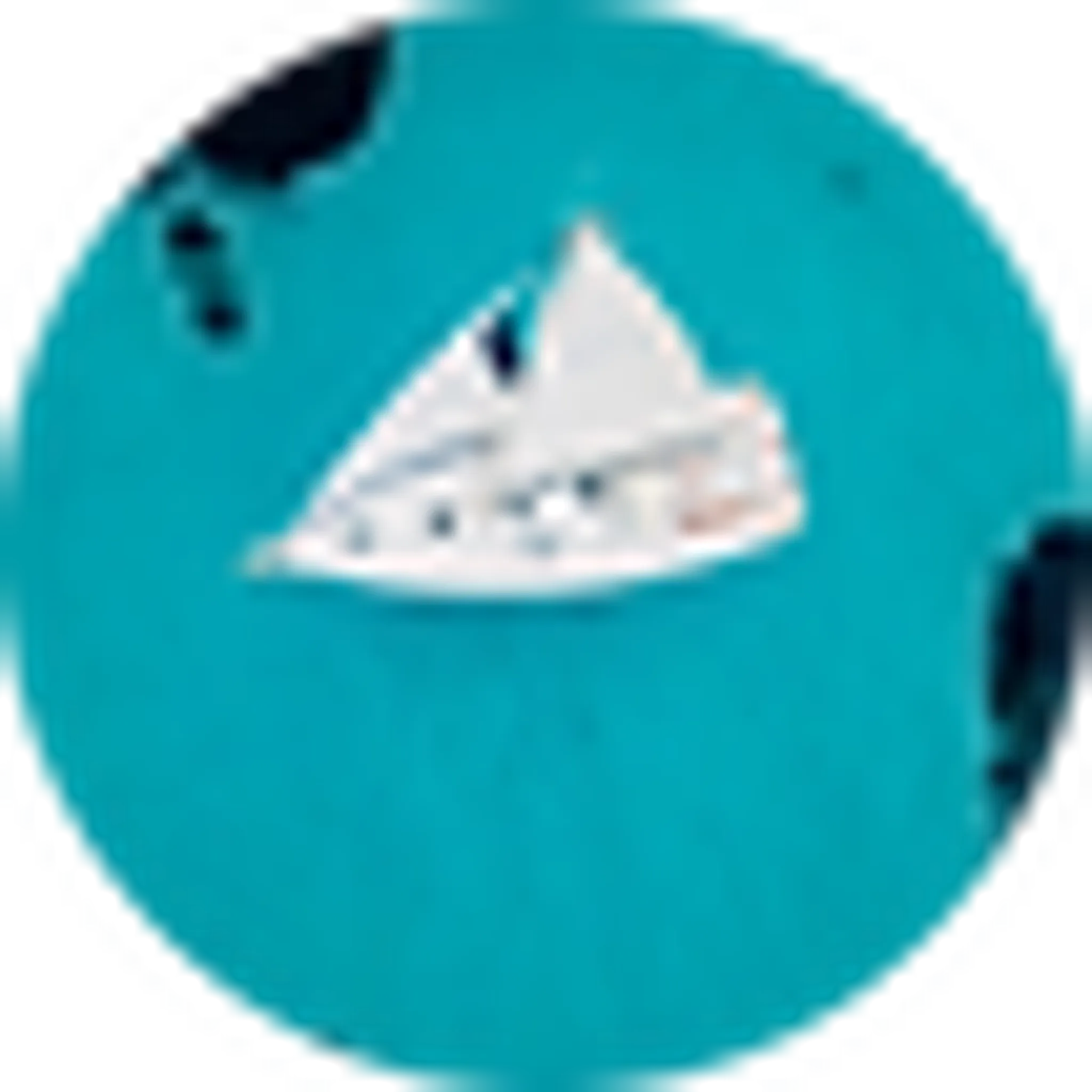 Australis Évasion Location Voilier Hyères Porquerolles