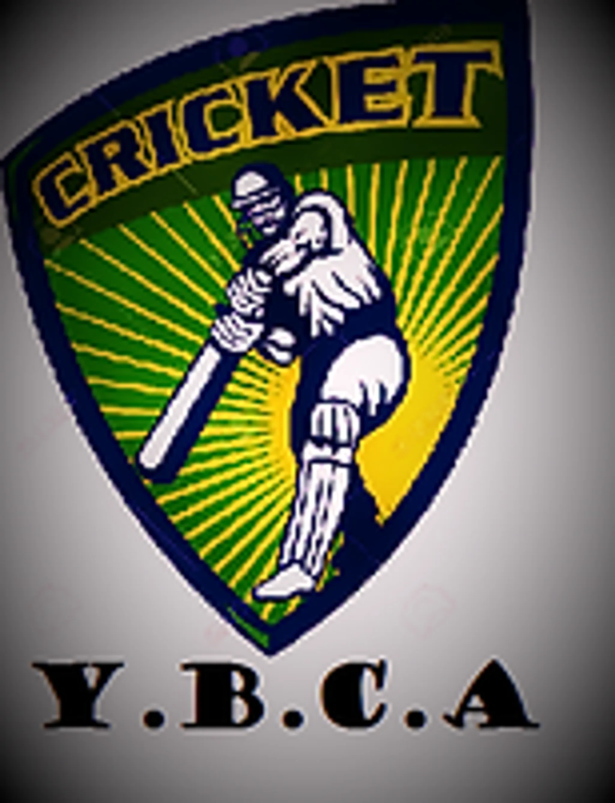 Young Boys Cricket academy