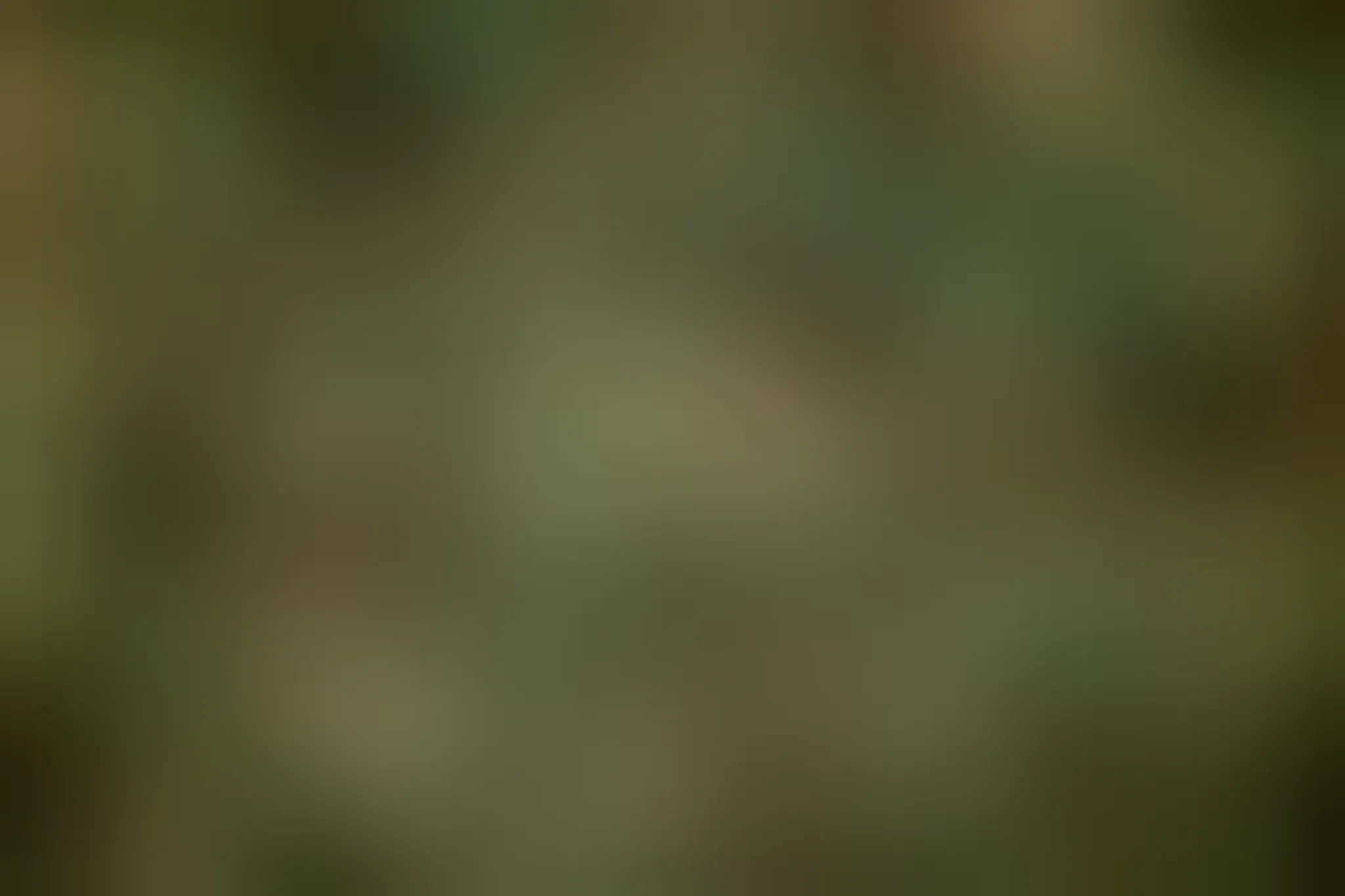 BENGAL DEFENCE ACADEMY KESHIARY