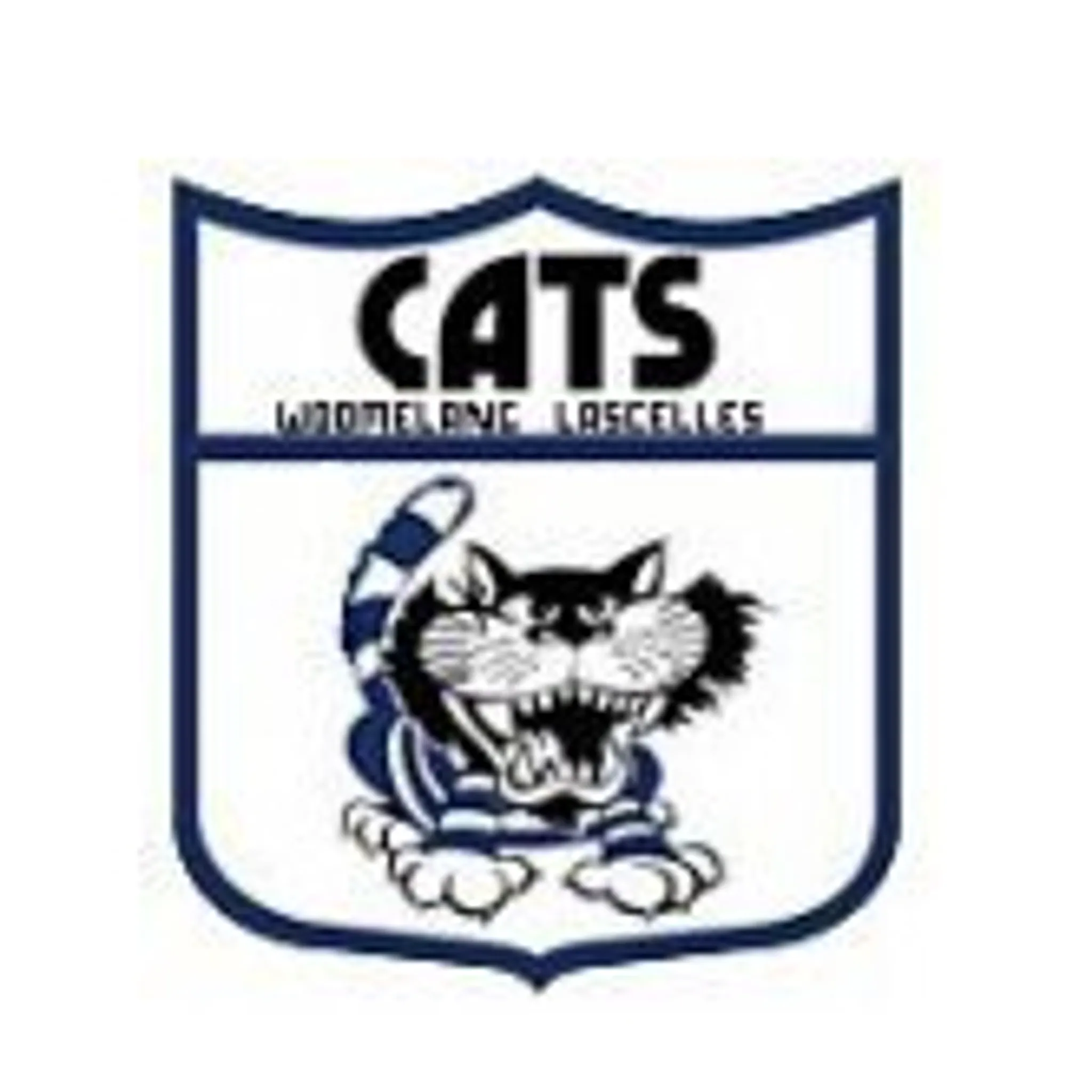 Woomelang Lascelles Football Club