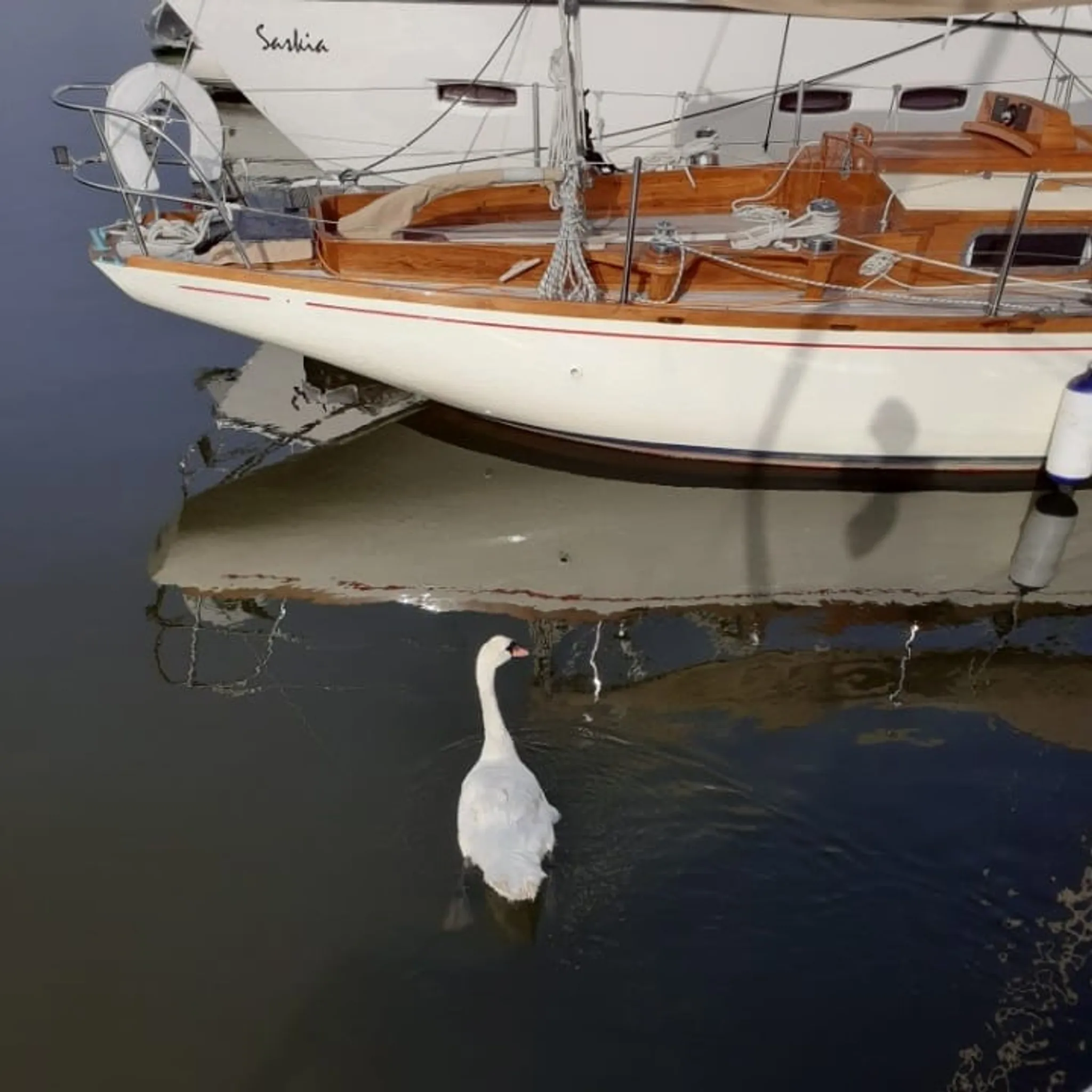 Port Solent Yacht Club