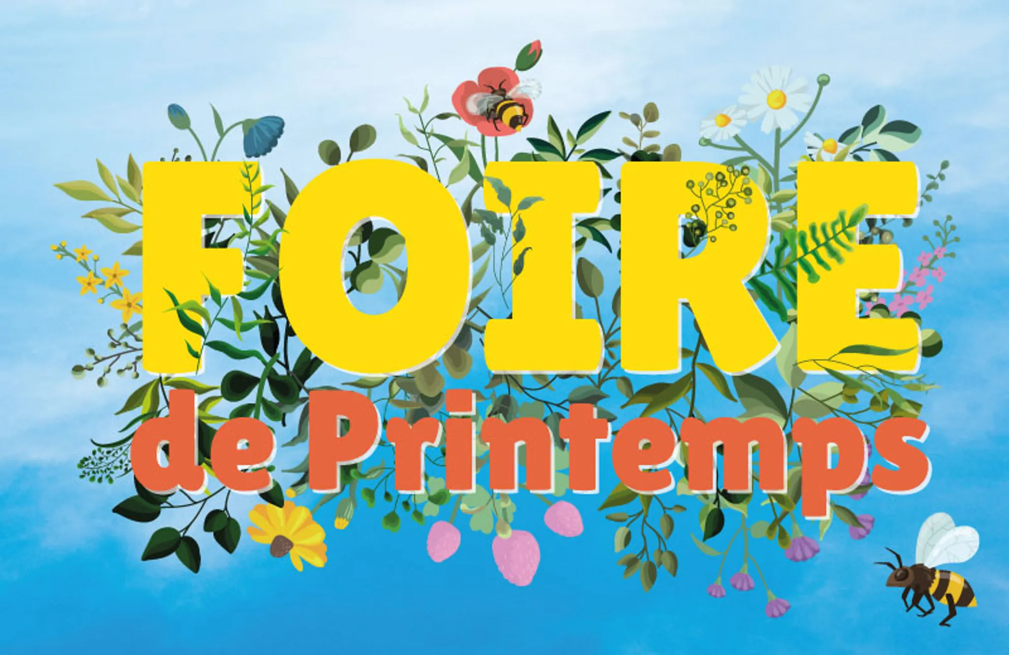 Coordonnateurs/Coordonnatrices Piscine