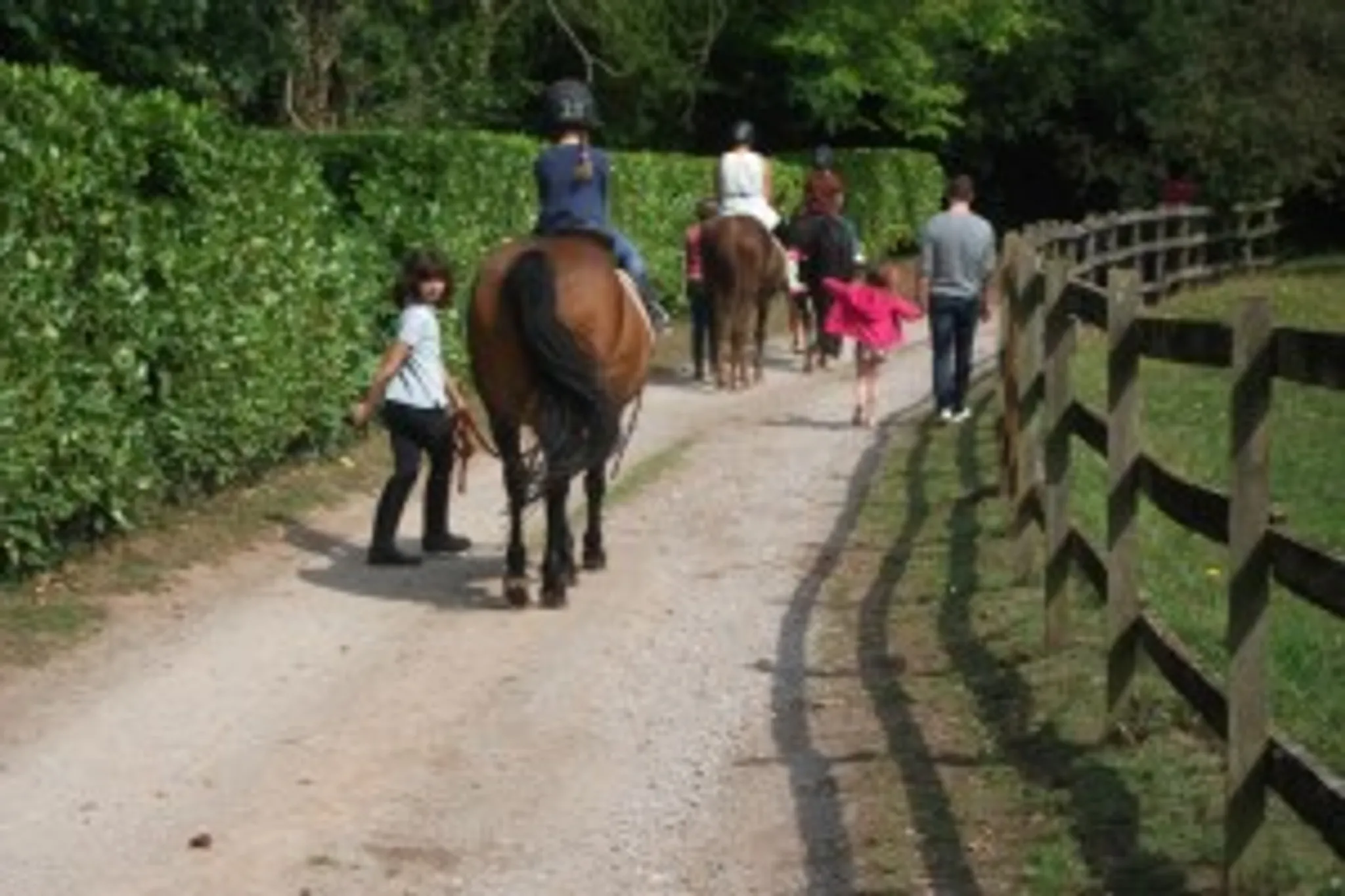 Adsborough House Stables